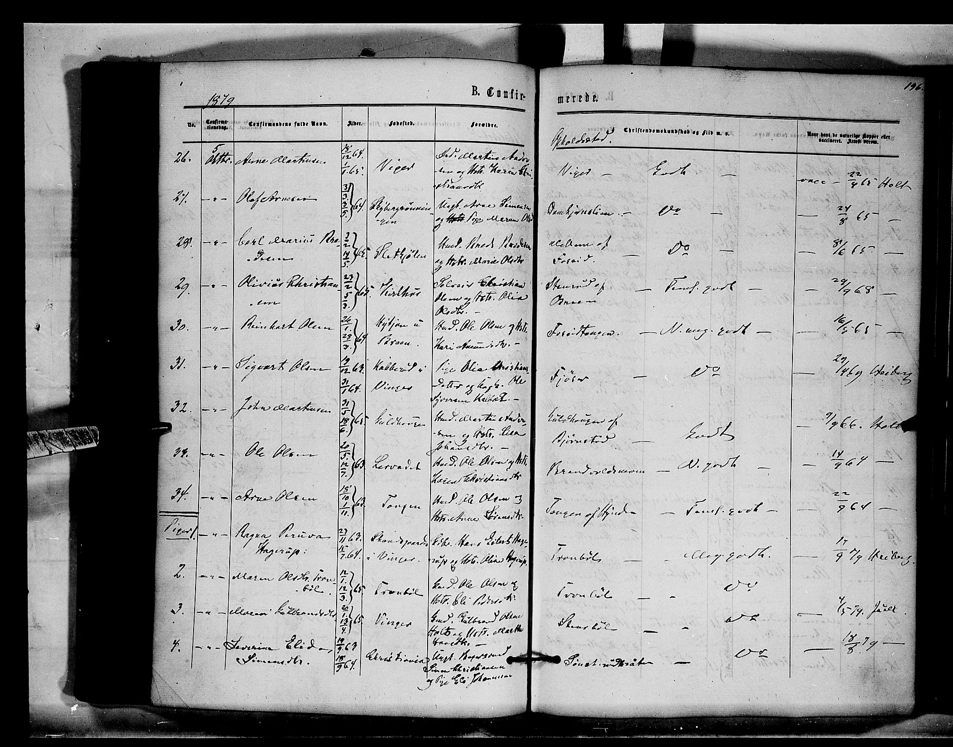 Brandval prestekontor, AV/SAH-PREST-034/H/Ha/Haa/L0001: Parish register (official) no. 1, 1864-1879, p. 196