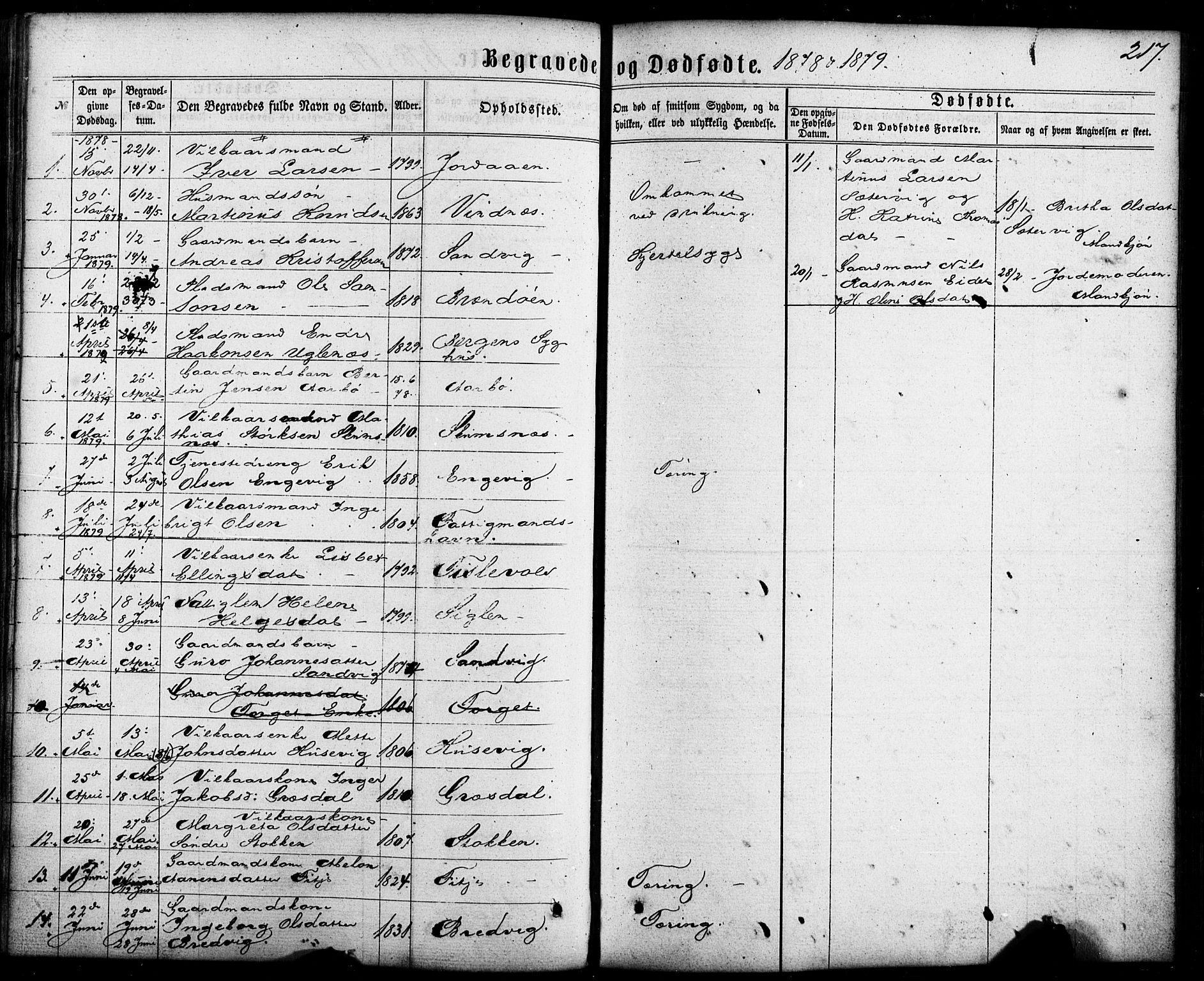 Fitjar sokneprestembete, SAB/A-99926: Parish register (official) no. A 1, 1862-1881, p. 217