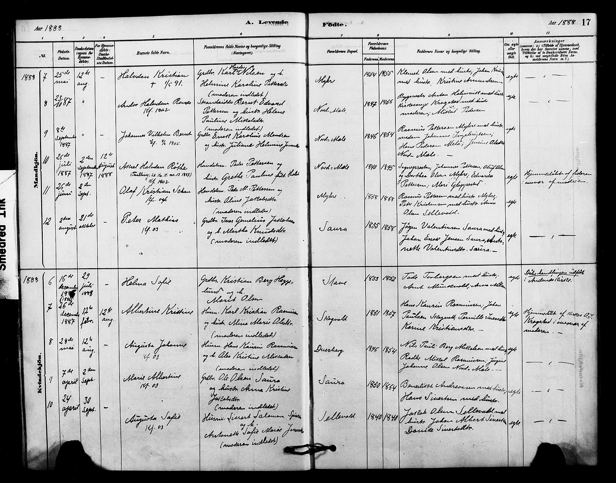 Ministerialprotokoller, klokkerbøker og fødselsregistre - Nordland, AV/SAT-A-1459/897/L1399: Parish register (official) no. 897C06, 1881-1896, p. 17