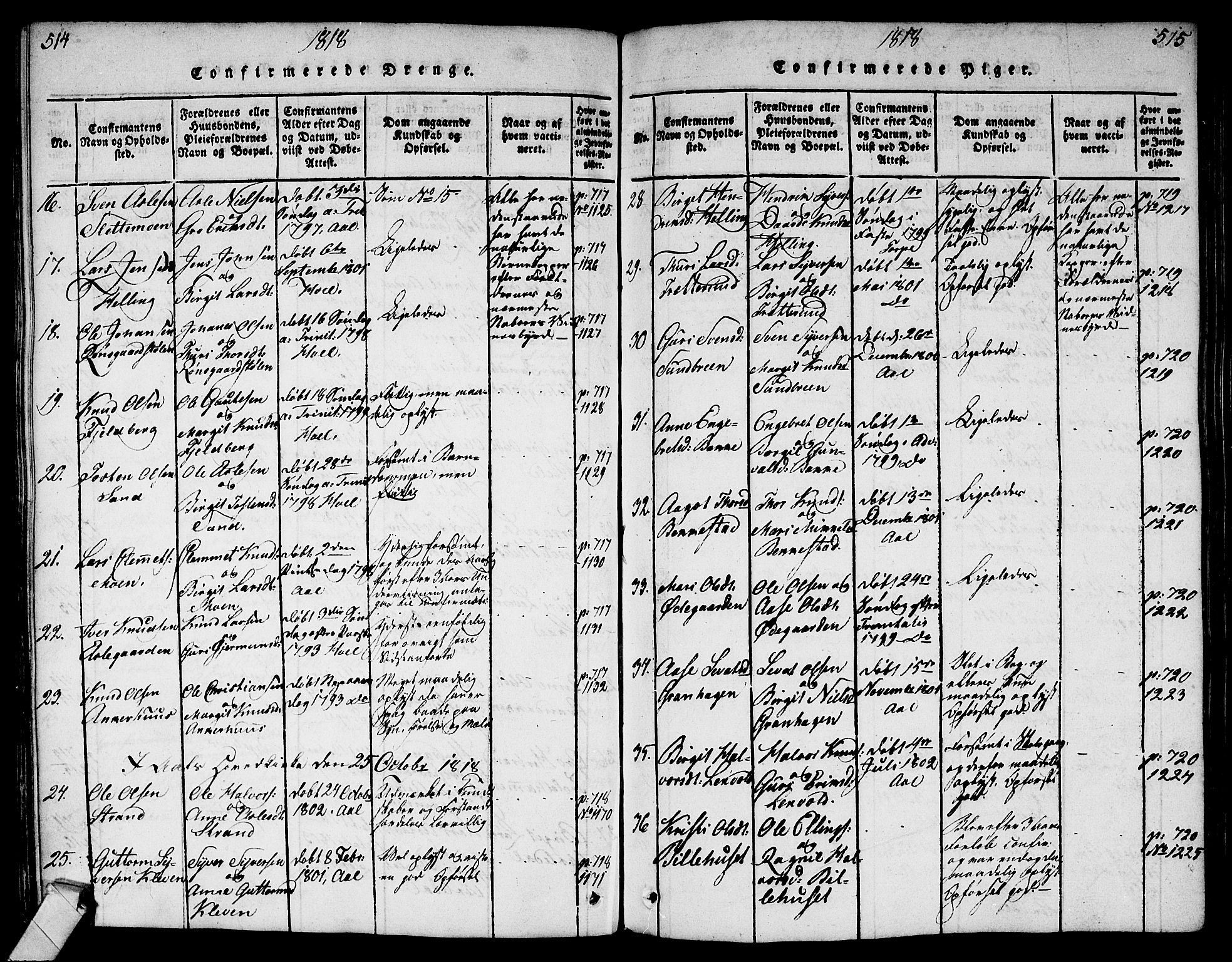 Ål kirkebøker, AV/SAKO-A-249/G/Ga/L0001: Parish register (copy) no. 1, 1815-1829, p. 516-517