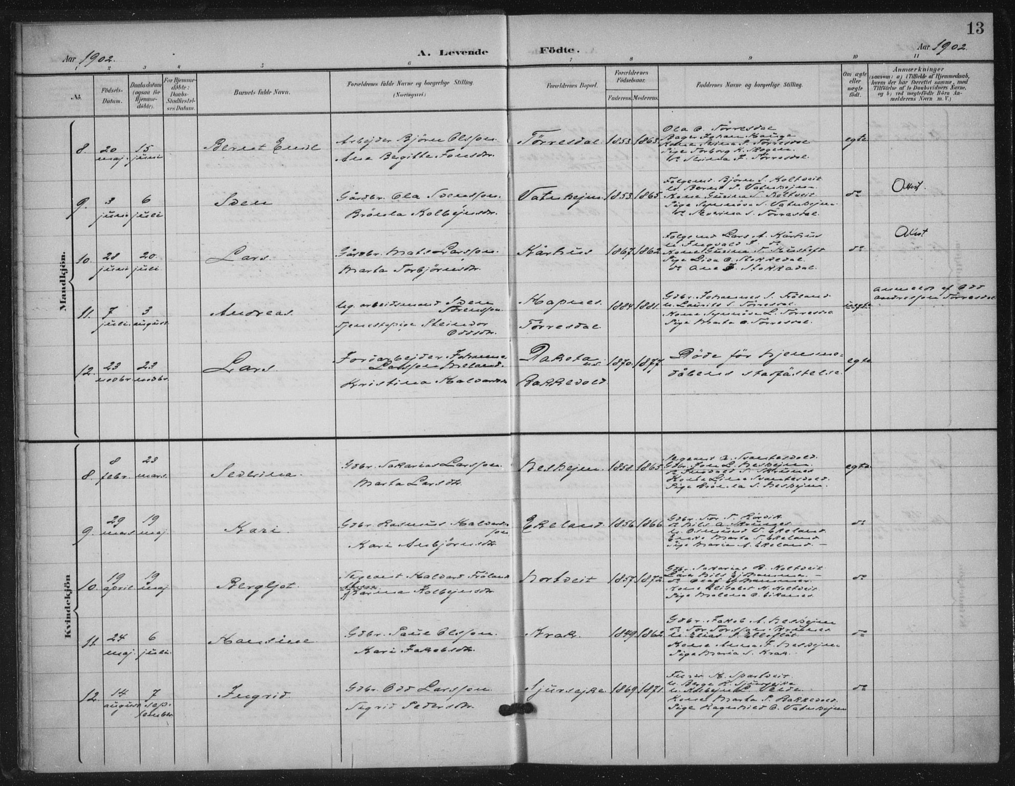 Skjold sokneprestkontor, AV/SAST-A-101847/H/Ha/Haa/L0012: Parish register (official) no. A 12, 1899-1915, p. 13