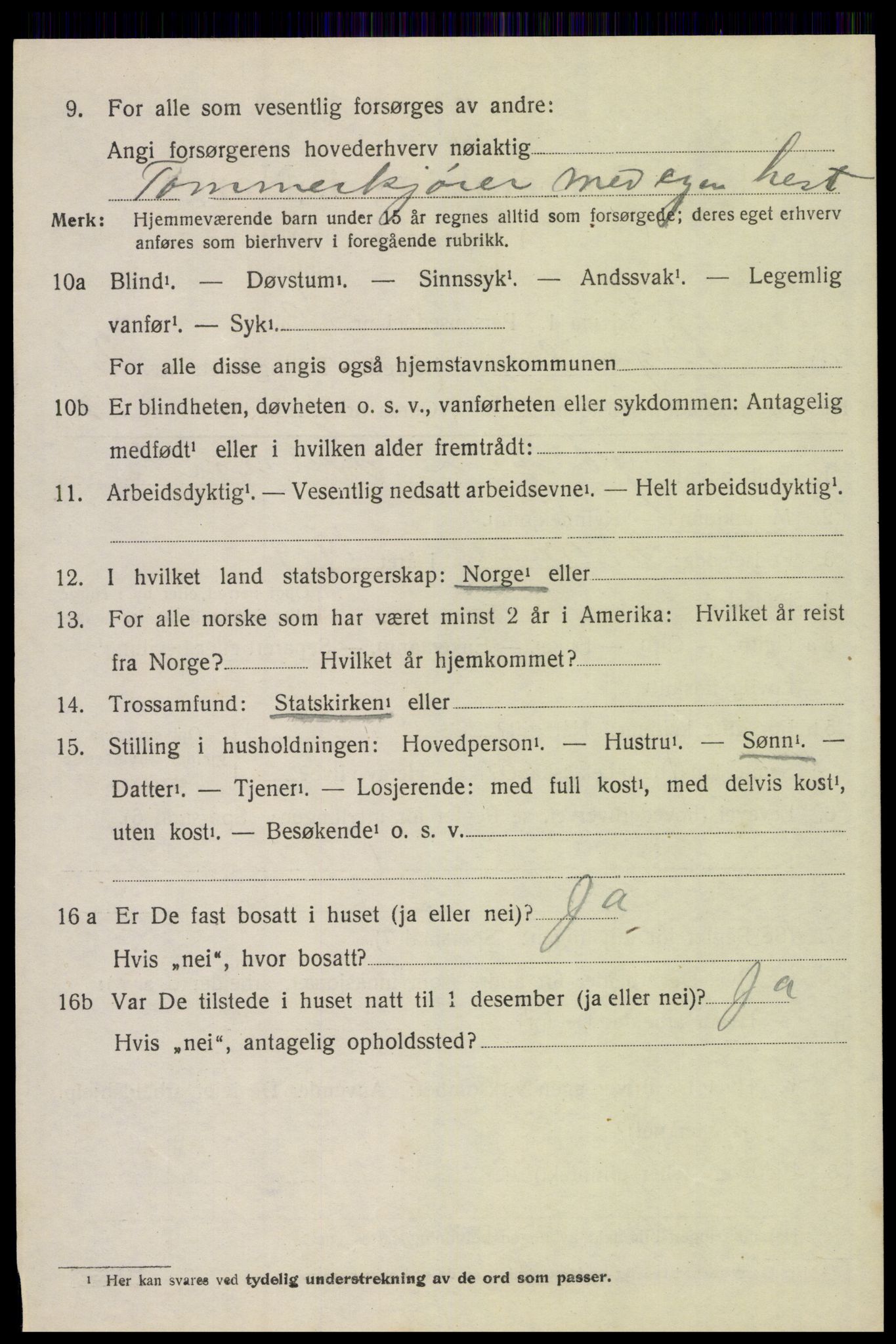 SAH, 1920 census for Trysil, 1920, p. 14088
