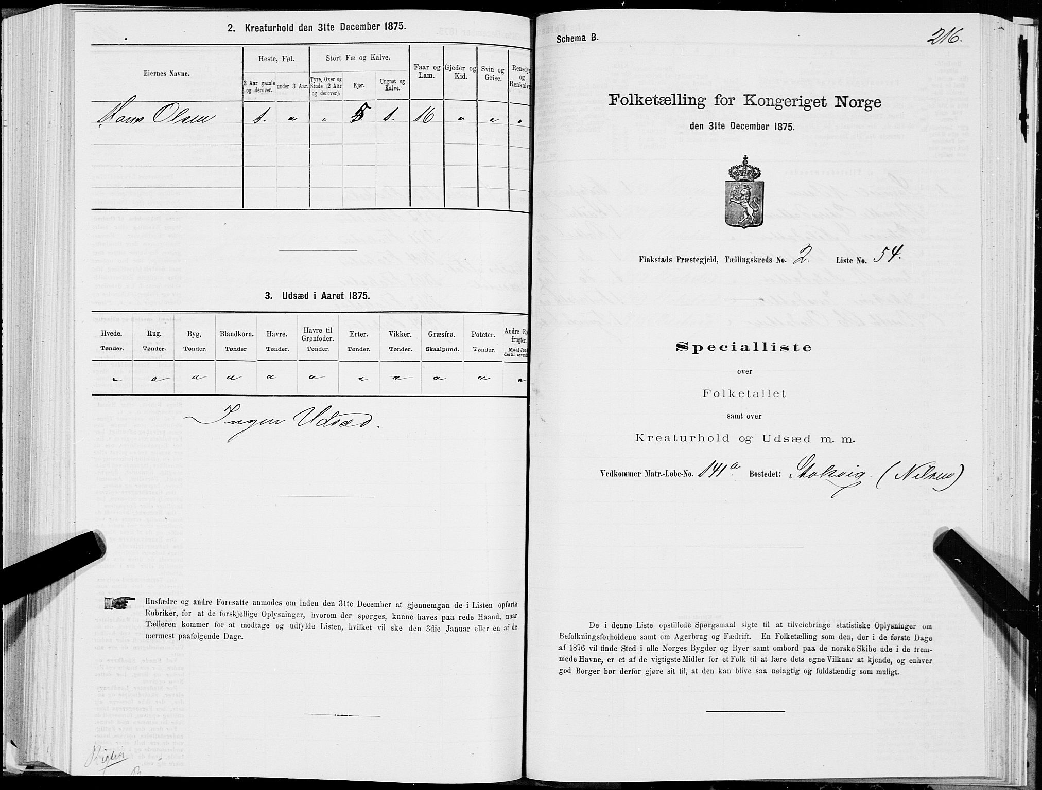 SAT, 1875 census for 1859P Flakstad, 1875, p. 1216