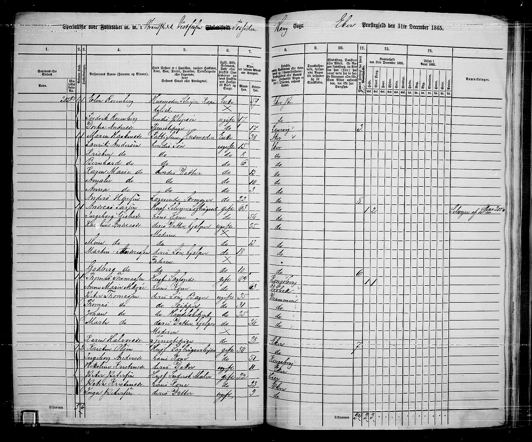 RA, 1865 census for Eiker, 1865, p. 231