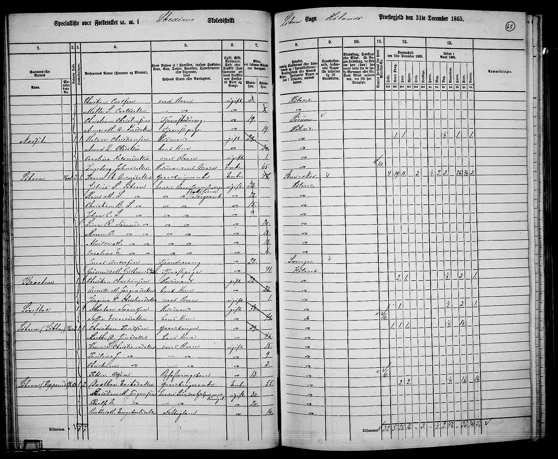 RA, 1865 census for Høland, 1865, p. 63