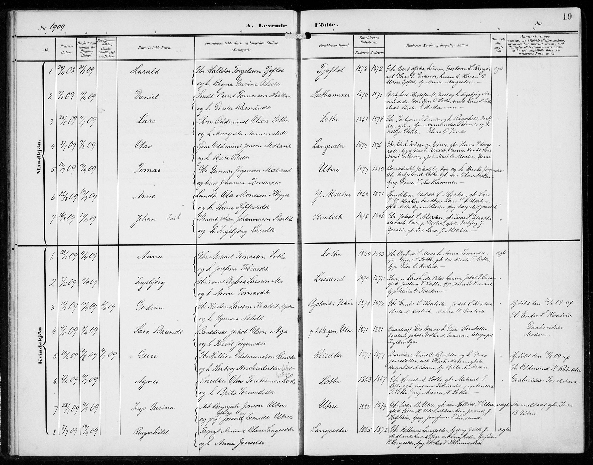 Ullensvang sokneprestembete, SAB/A-78701/H/Hab: Parish register (copy) no. F  1, 1902-1935, p. 19