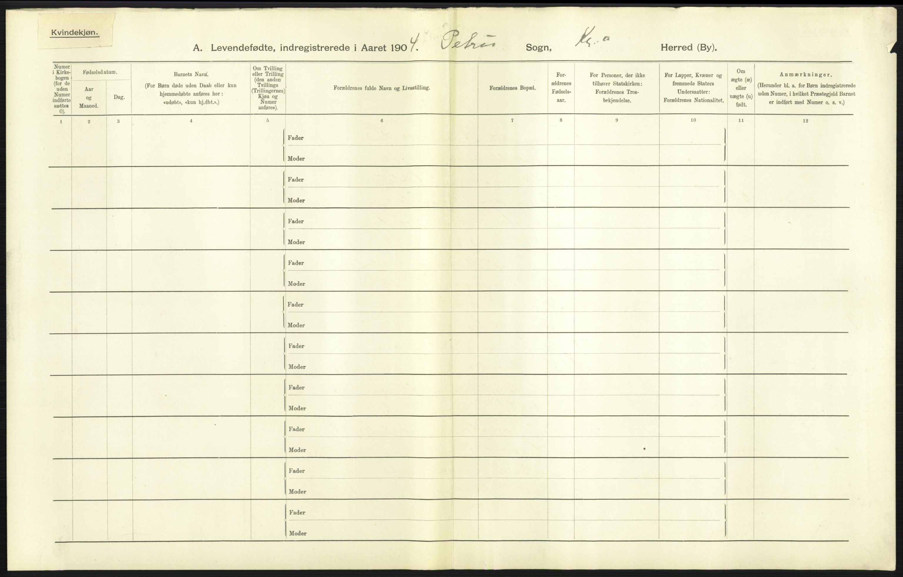 Statistisk sentralbyrå, Sosiodemografiske emner, Befolkning, AV/RA-S-2228/D/Df/Dfa/Dfab/L0003: Kristiania: Fødte, 1904, p. 691