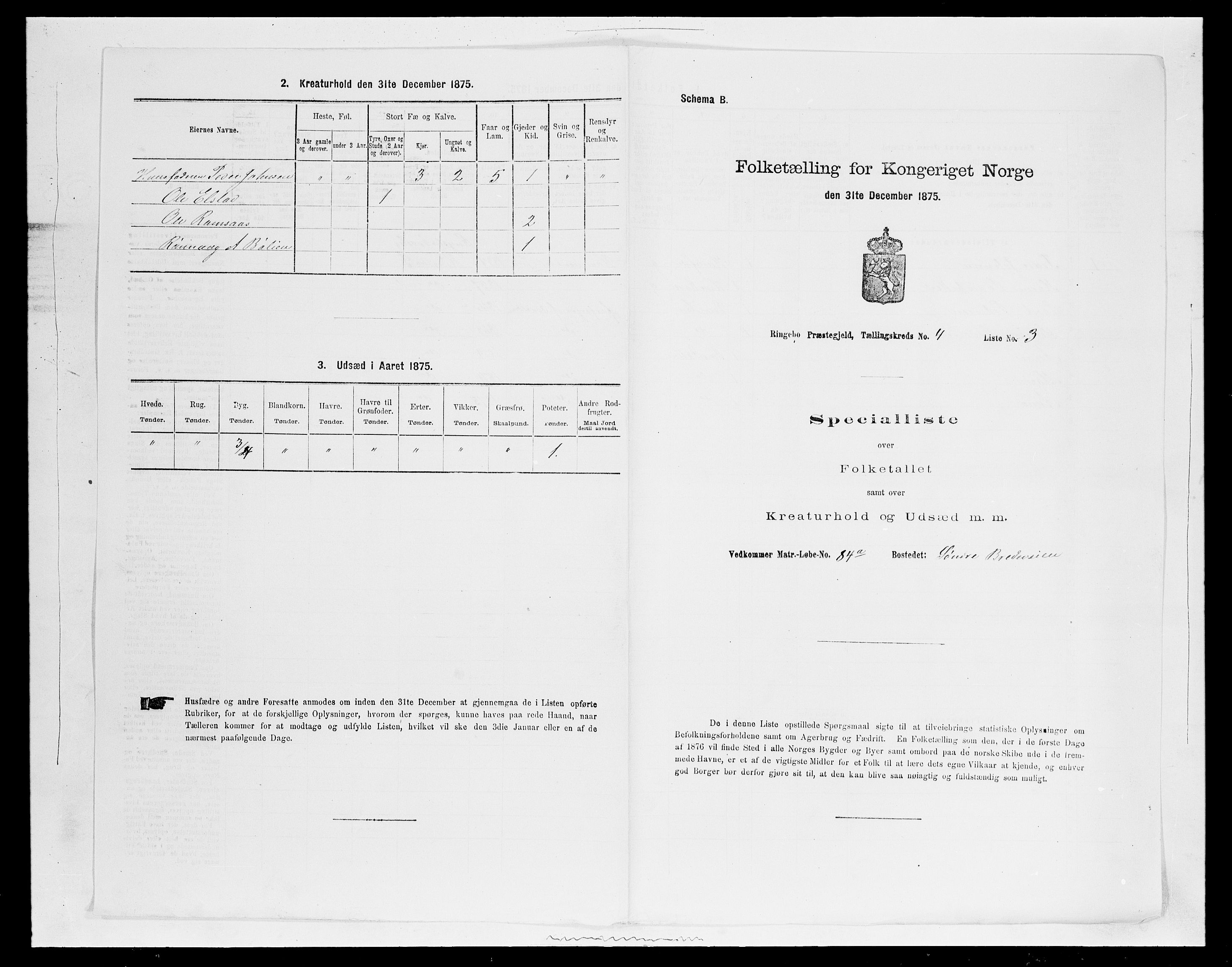 SAH, 1875 census for 0520P Ringebu, 1875, p. 551