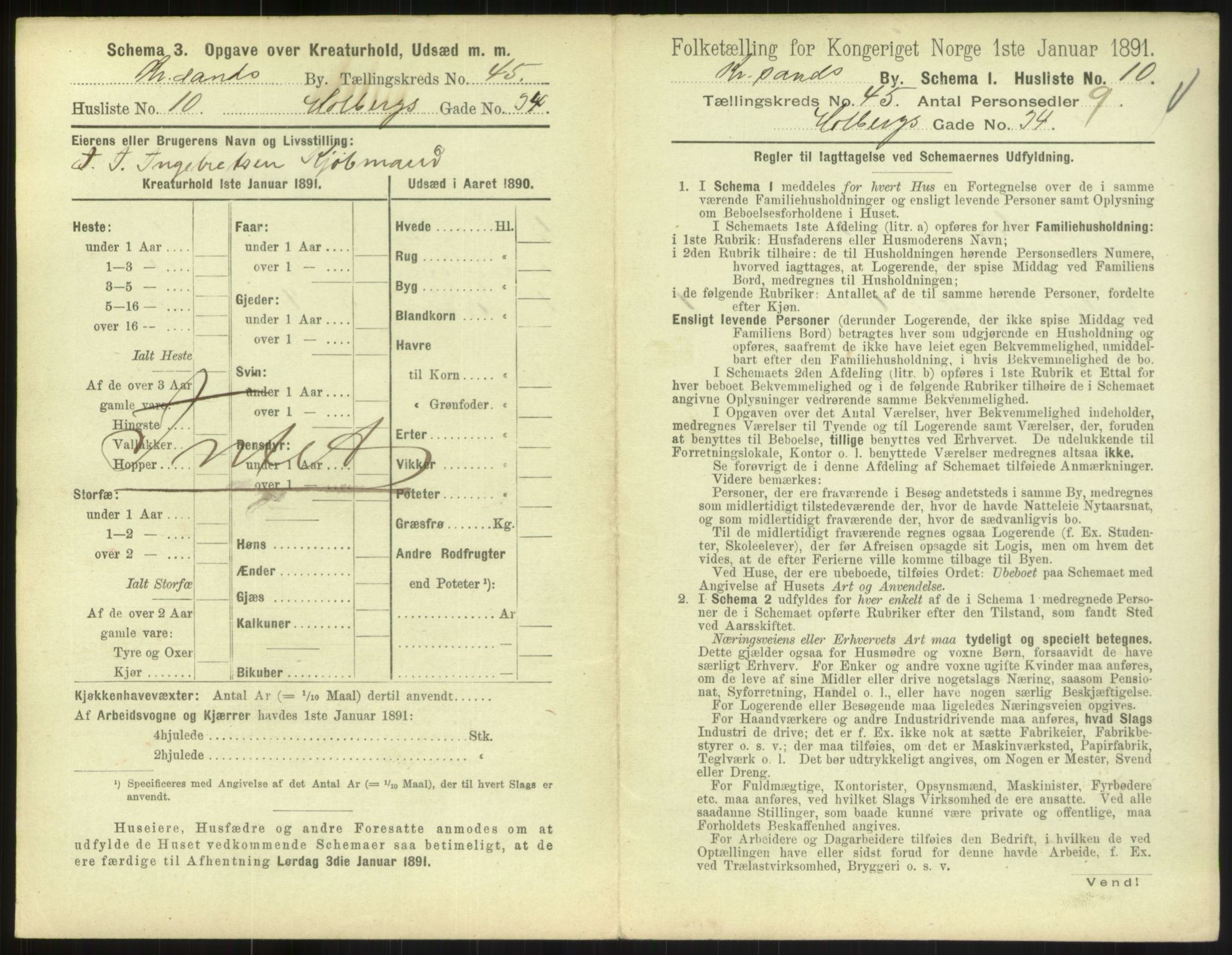 RA, 1891 census for 1001 Kristiansand, 1891, p. 2460