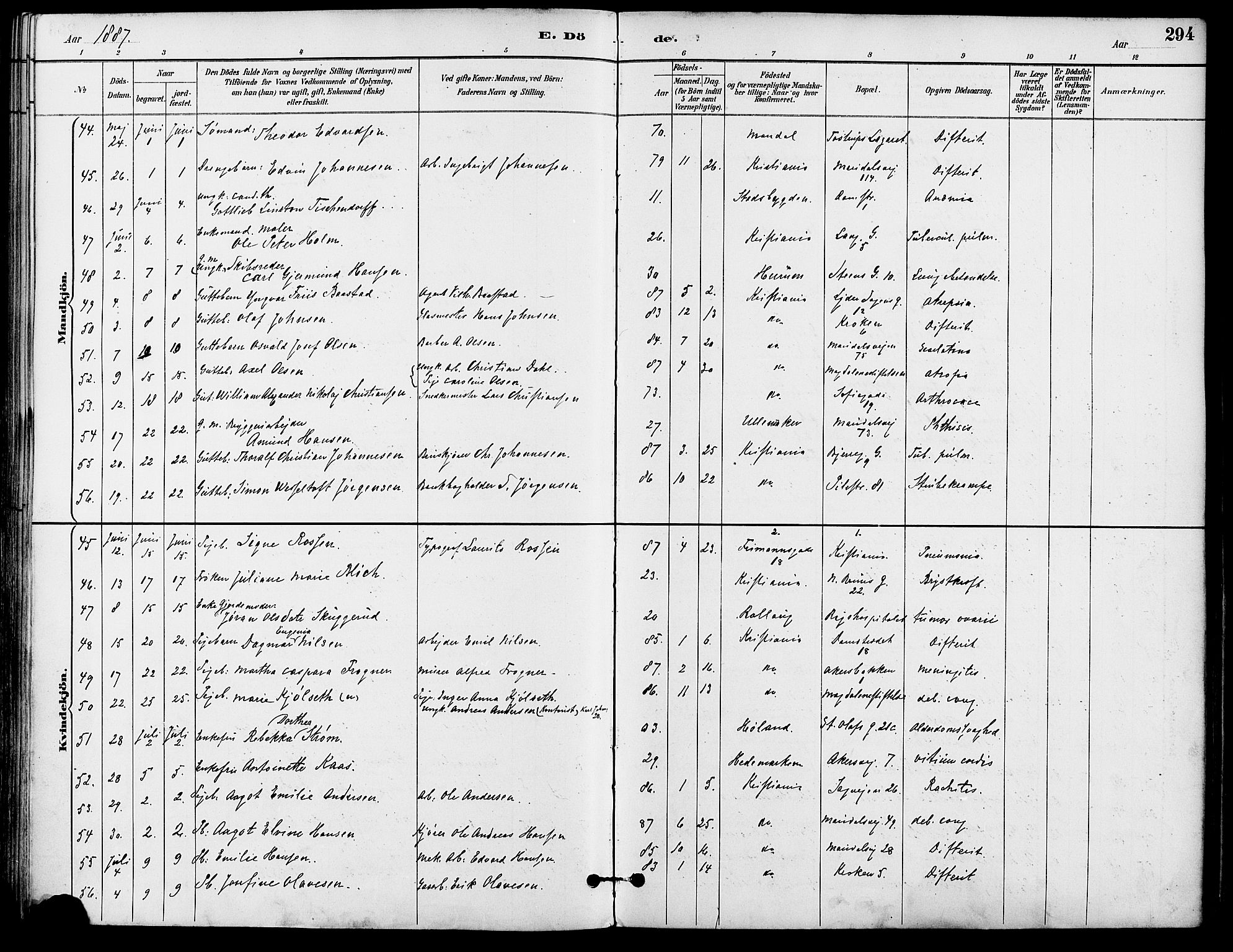 Gamle Aker prestekontor Kirkebøker, SAO/A-10617a/F/L0008: Parish register (official) no. 8, 1887-1896, p. 294
