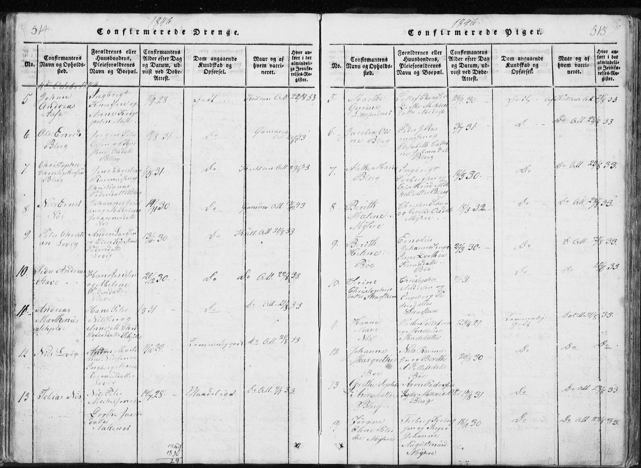 Ministerialprotokoller, klokkerbøker og fødselsregistre - Nordland, AV/SAT-A-1459/897/L1411: Parish register (copy) no. 897C01, 1820-1866, p. 514-515