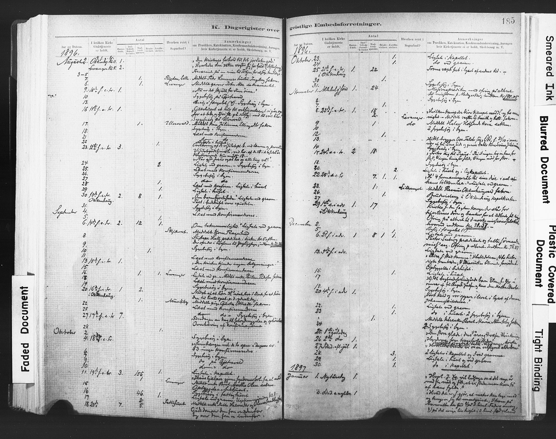 Ministerialprotokoller, klokkerbøker og fødselsregistre - Nord-Trøndelag, SAT/A-1458/720/L0189: Parish register (official) no. 720A05, 1880-1911, p. 185