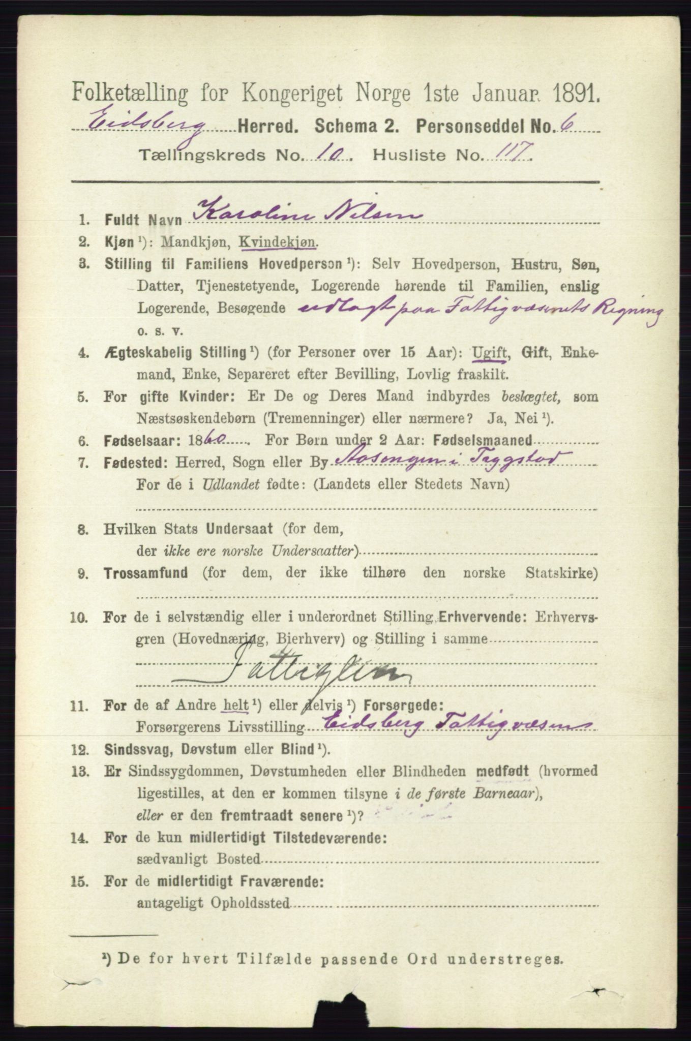 RA, 1891 census for 0125 Eidsberg, 1891, p. 6295