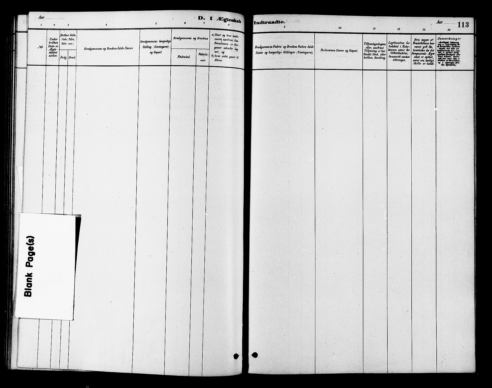 Flesberg kirkebøker, AV/SAKO-A-18/F/Fb/L0001: Parish register (official) no. II 1, 1879-1907, p. 113