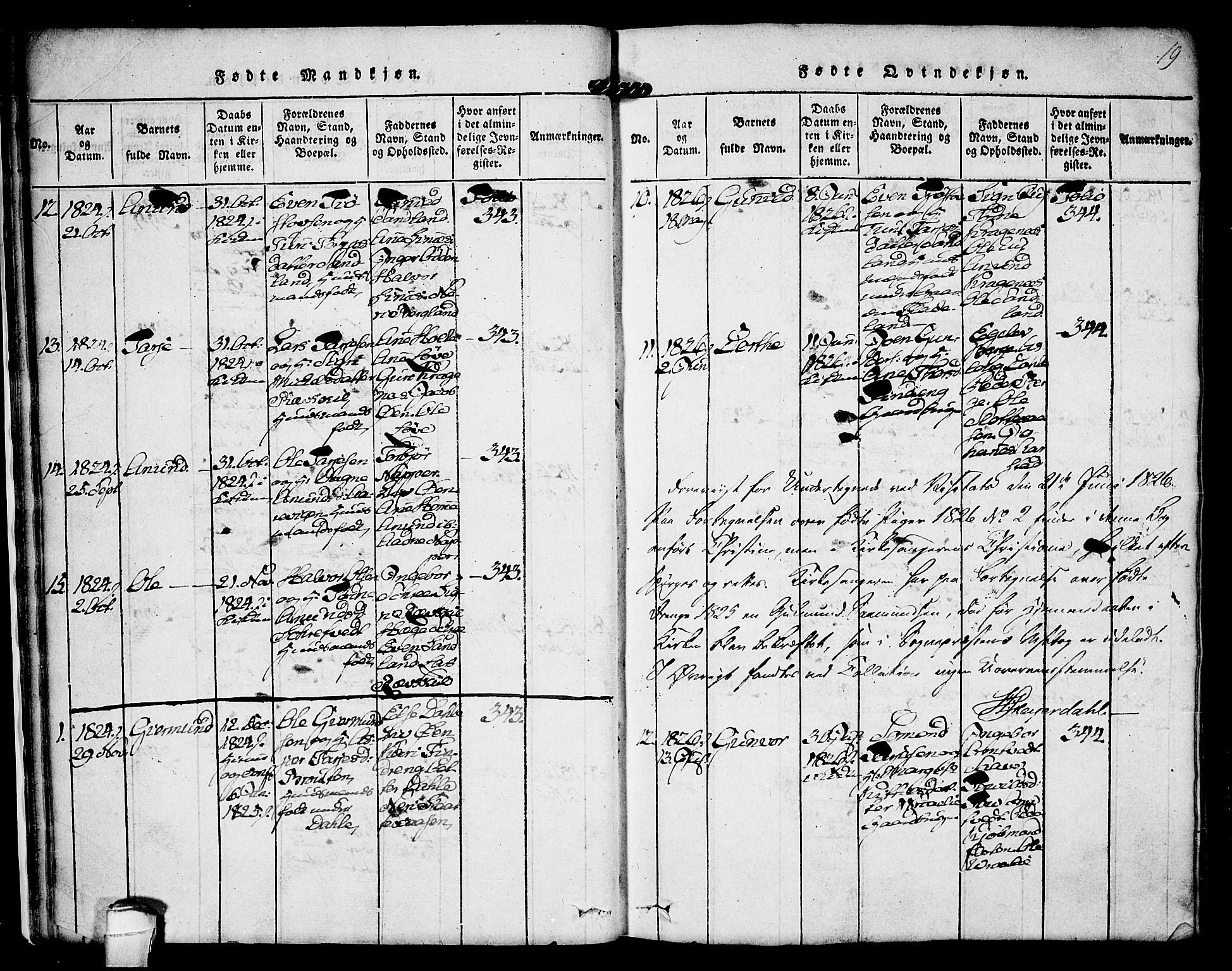 Kviteseid kirkebøker, SAKO/A-276/F/Fc/L0001: Parish register (official) no. III 1, 1815-1836, p. 19
