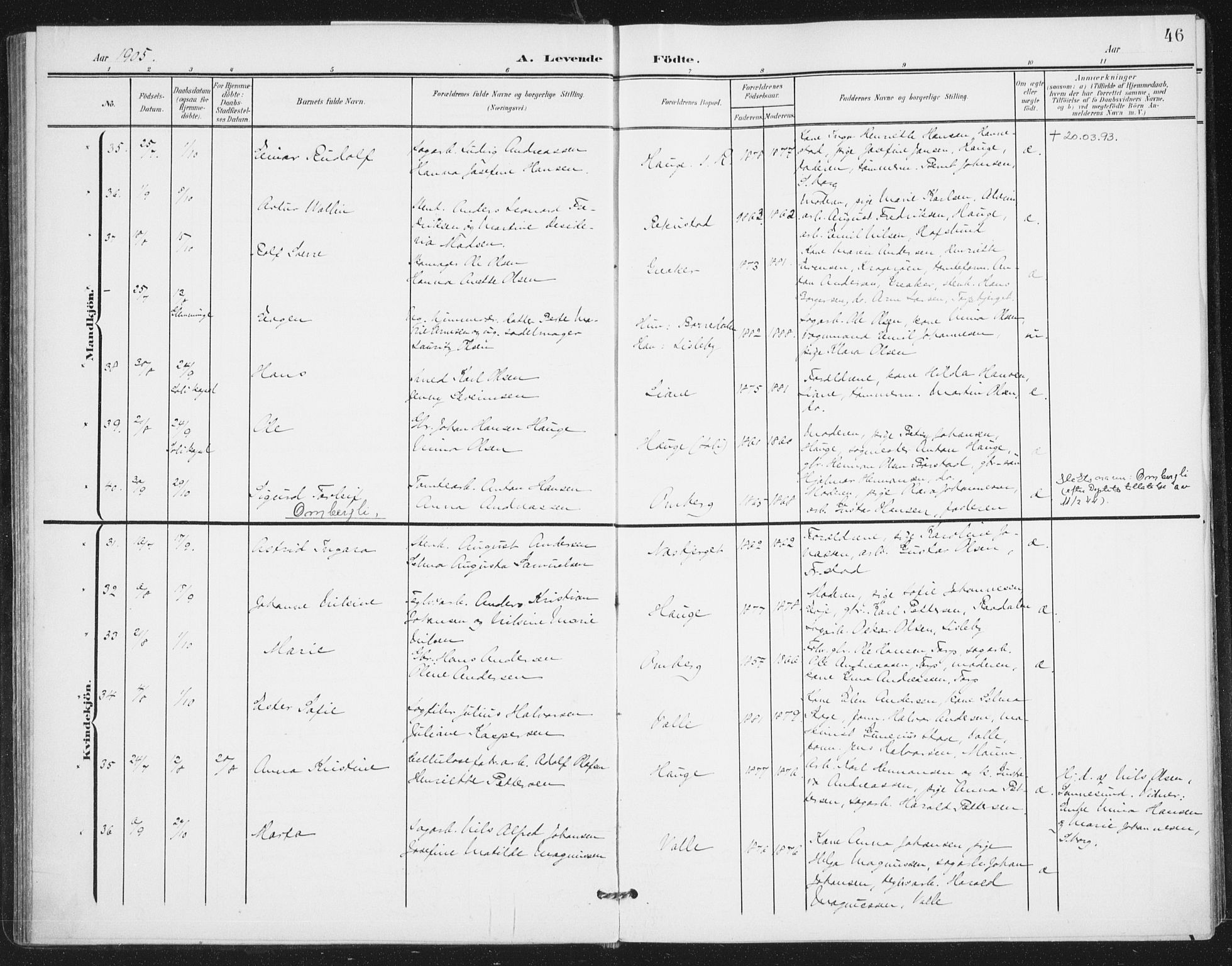 Rolvsøy prestekontor Kirkebøker, AV/SAO-A-2004/F/Fa/L0001: Parish register (official) no. 1, 1901-1909, p. 46