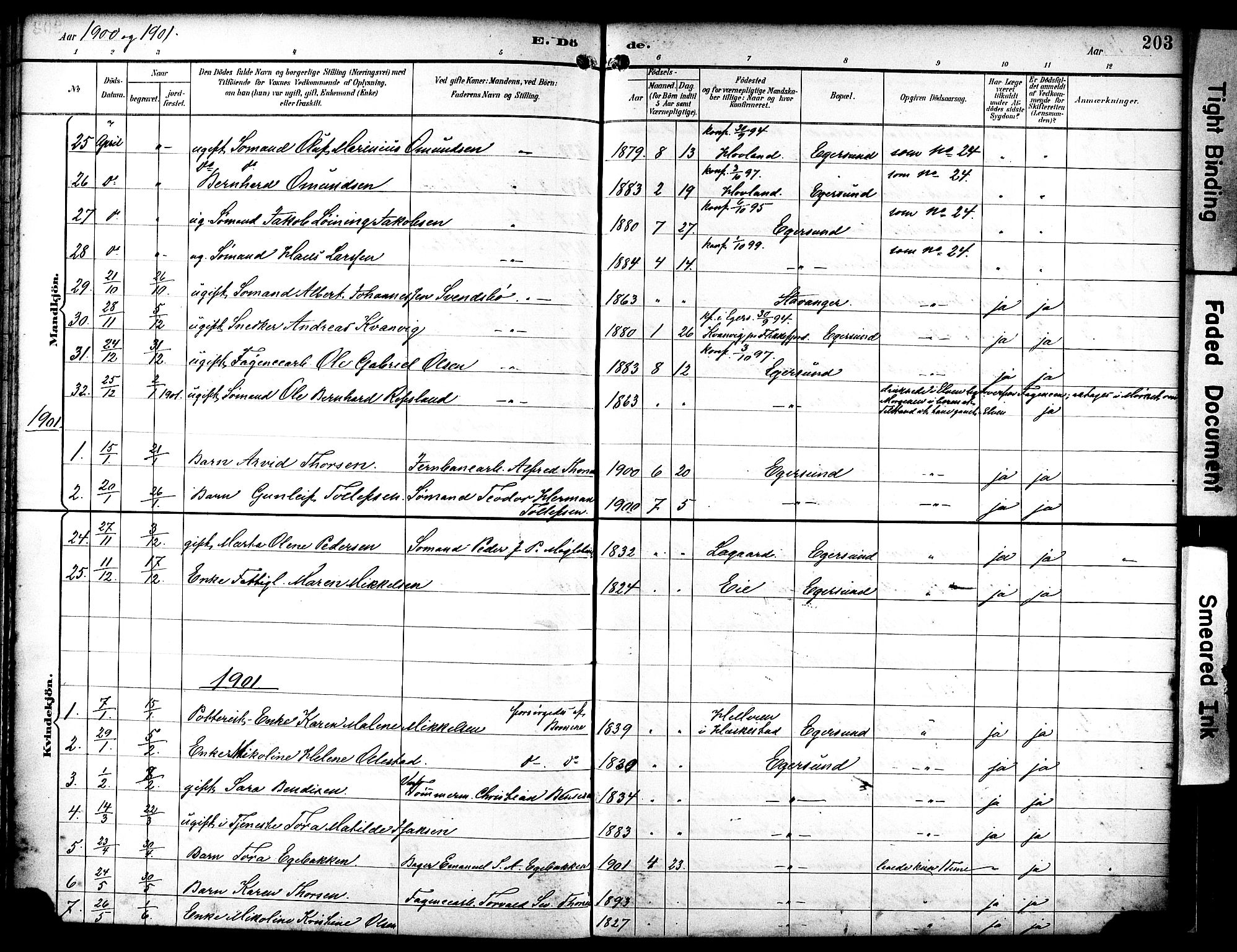 Eigersund sokneprestkontor, AV/SAST-A-101807/S08/L0019: Parish register (official) no. A 18, 1892-1905, p. 203