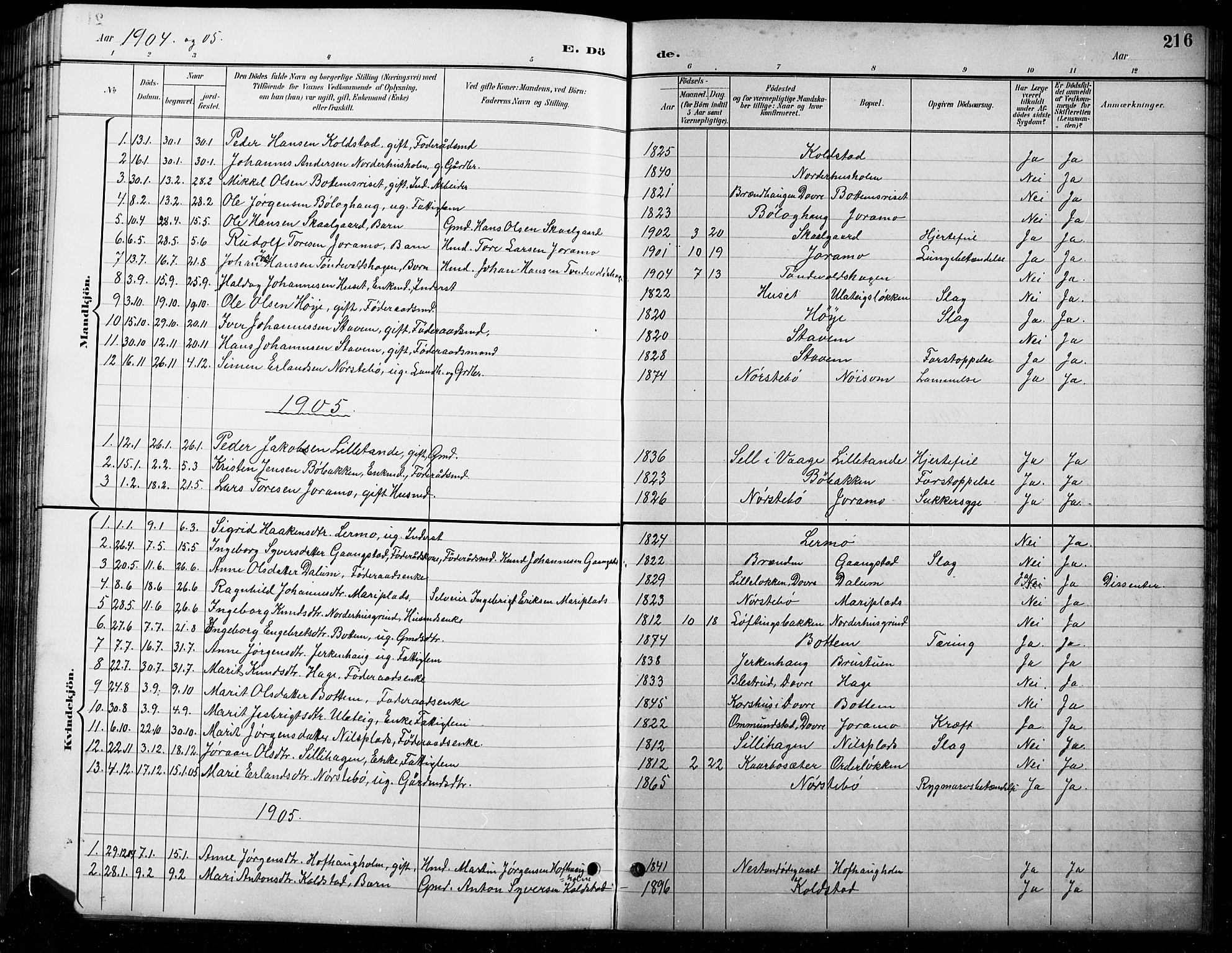 Lesja prestekontor, SAH/PREST-068/H/Ha/Hab/L0007: Parish register (copy) no. 7, 1895-1919, p. 216