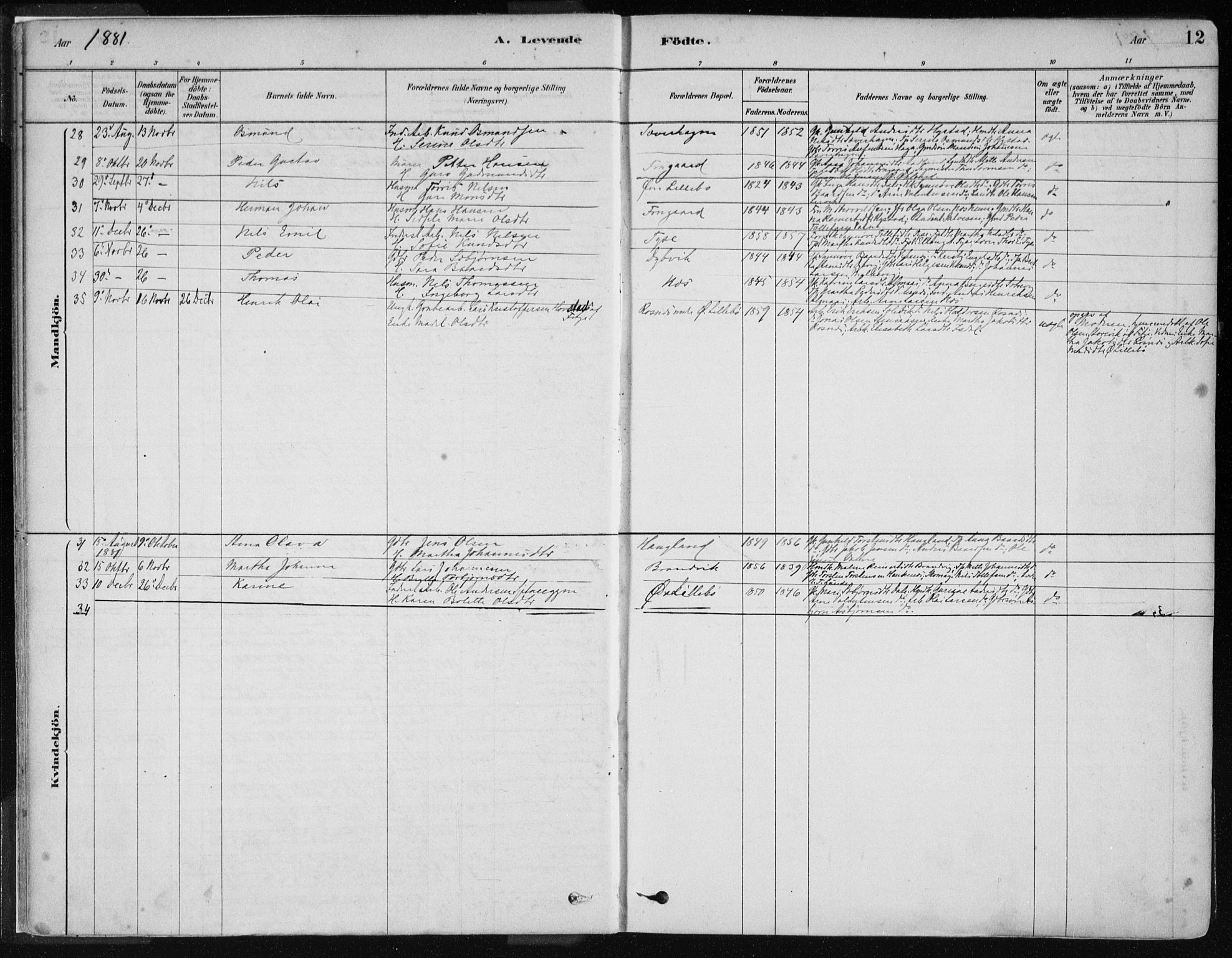 Stord sokneprestembete, SAB/A-78201/H/Haa: Parish register (official) no. B 2, 1878-1913, p. 12