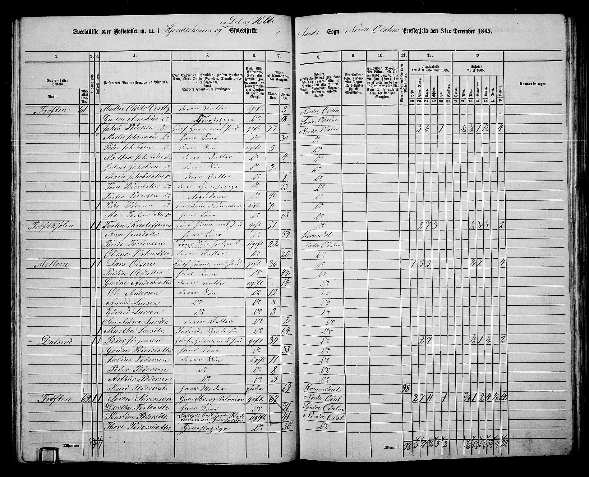 RA, 1865 census for Nord-Odal, 1865, p. 55