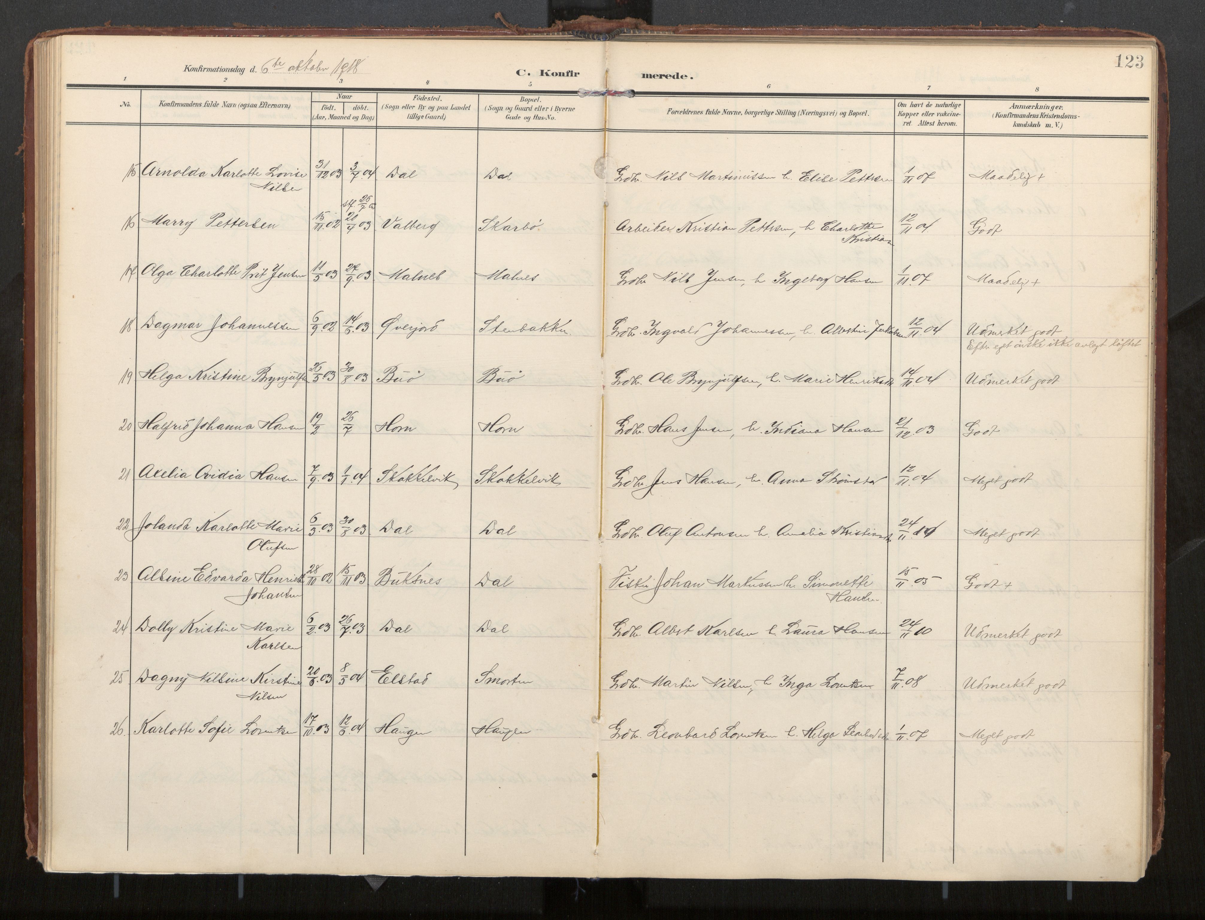 Ministerialprotokoller, klokkerbøker og fødselsregistre - Nordland, AV/SAT-A-1459/884/L1194: Parish register (official) no. 884A02, 1906-1937, p. 123