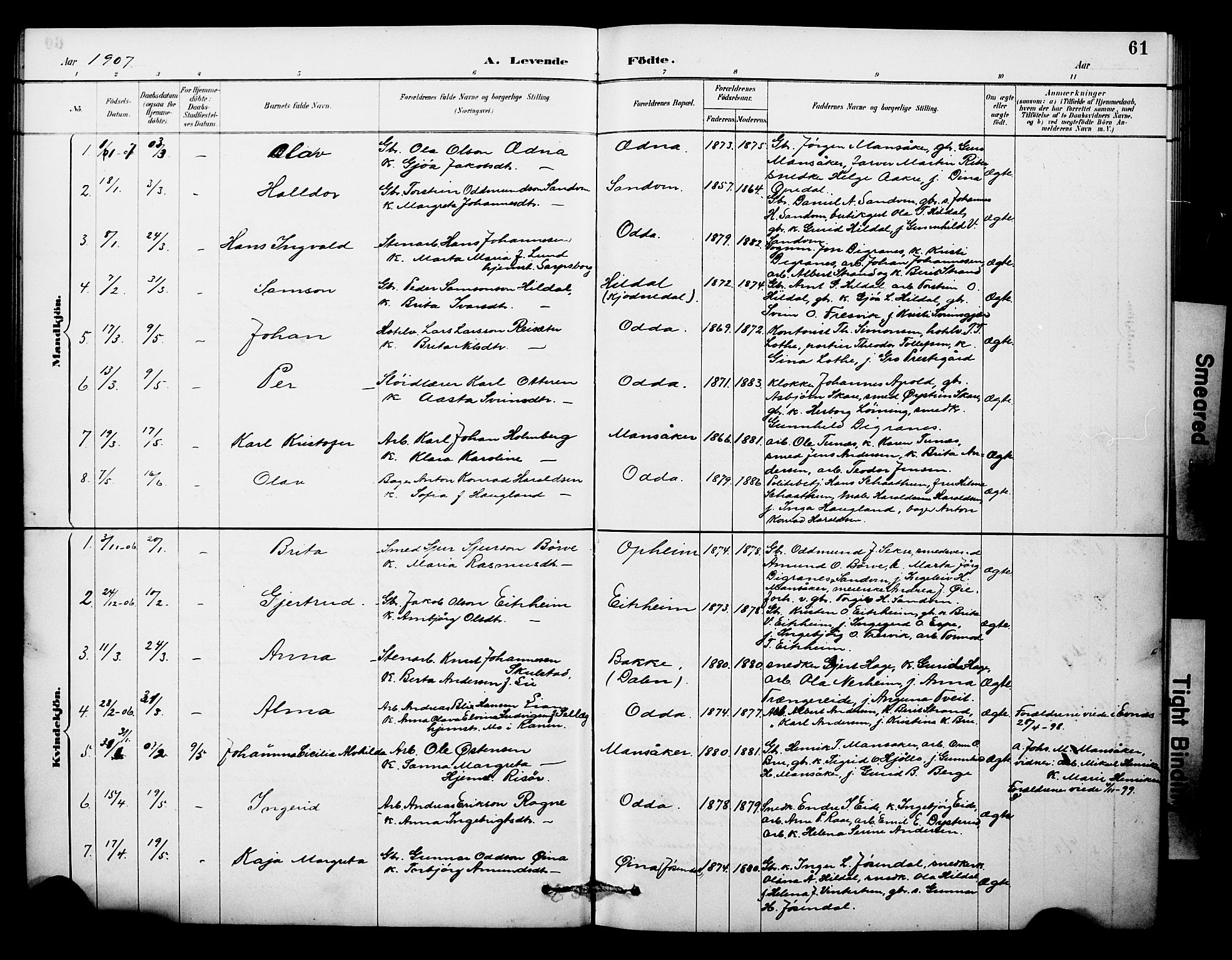 Odda Sokneprestembete, SAB/A-77201/H/Hab: Parish register (copy) no. A 7, 1887-1912, p. 61