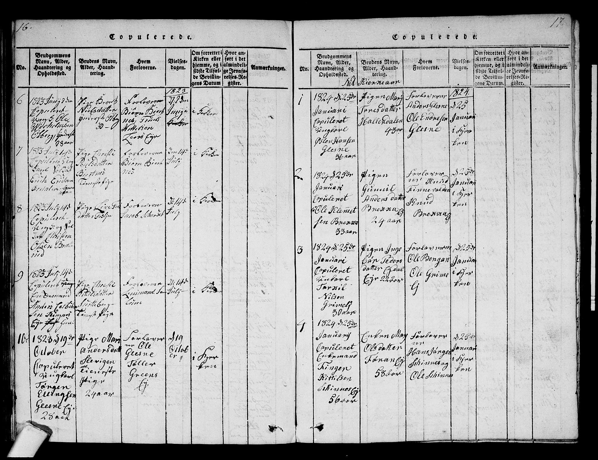Krødsherad kirkebøker, SAKO/A-19/F/Fa/L0001: Parish register (official) no. 1, 1815-1829, p. 16-17