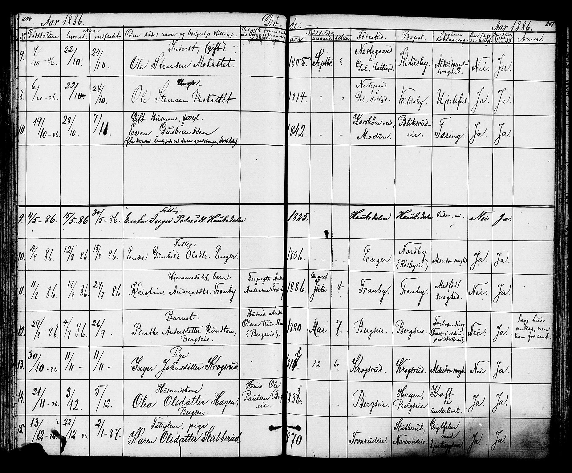 Lunder kirkebøker, AV/SAKO-A-629/G/Ga/L0003a: Parish register (copy) no. I 3, 1869-1888, p. 246-247