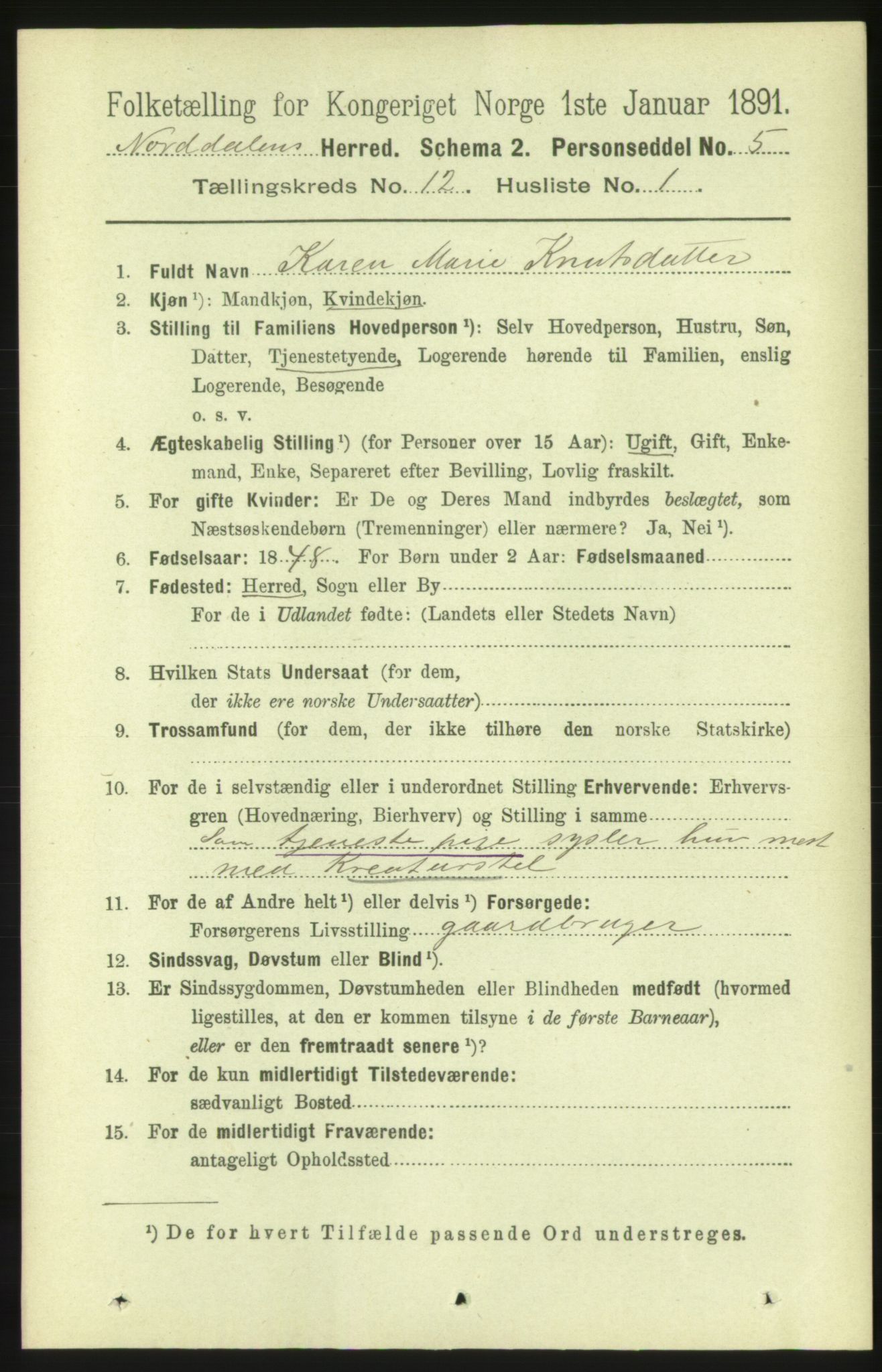 RA, 1891 census for 1524 Norddal, 1891, p. 2718