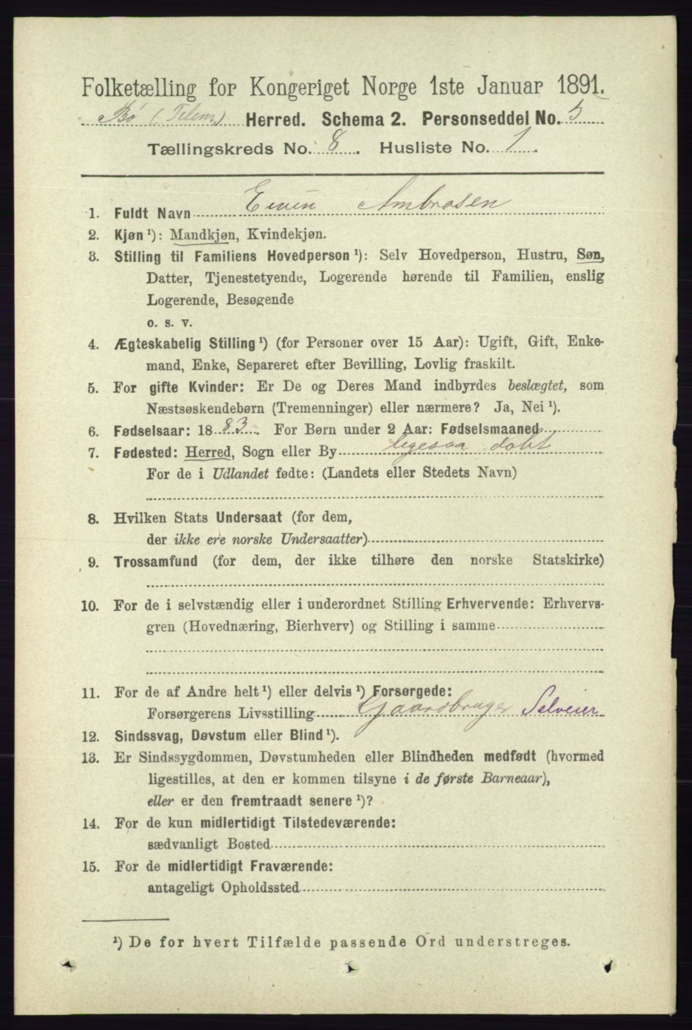 RA, 1891 census for 0821 Bø, 1891, p. 2563