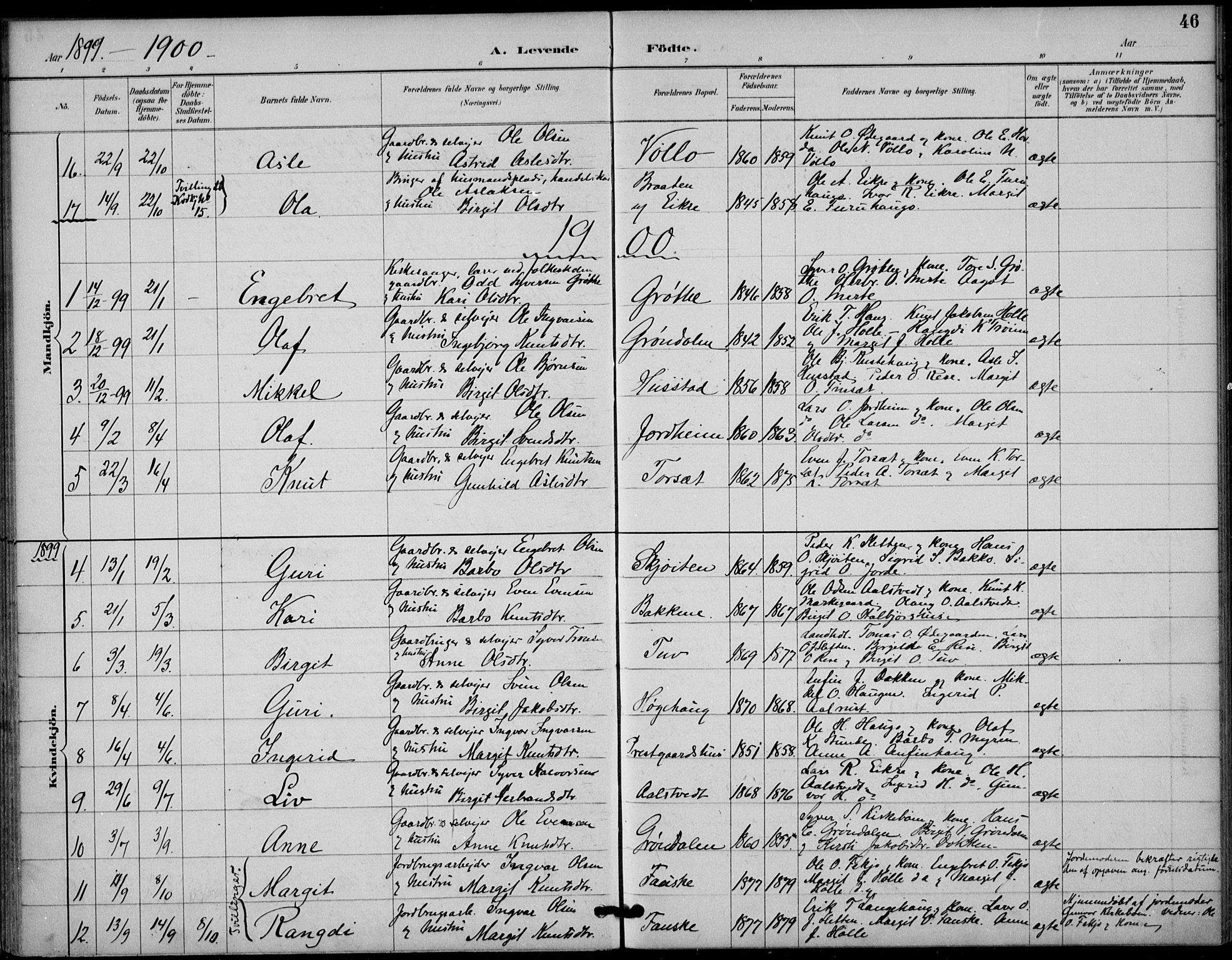 Gol kirkebøker, SAKO/A-226/F/Fb/L0001: Parish register (official) no. II 1, 1887-1900, p. 46