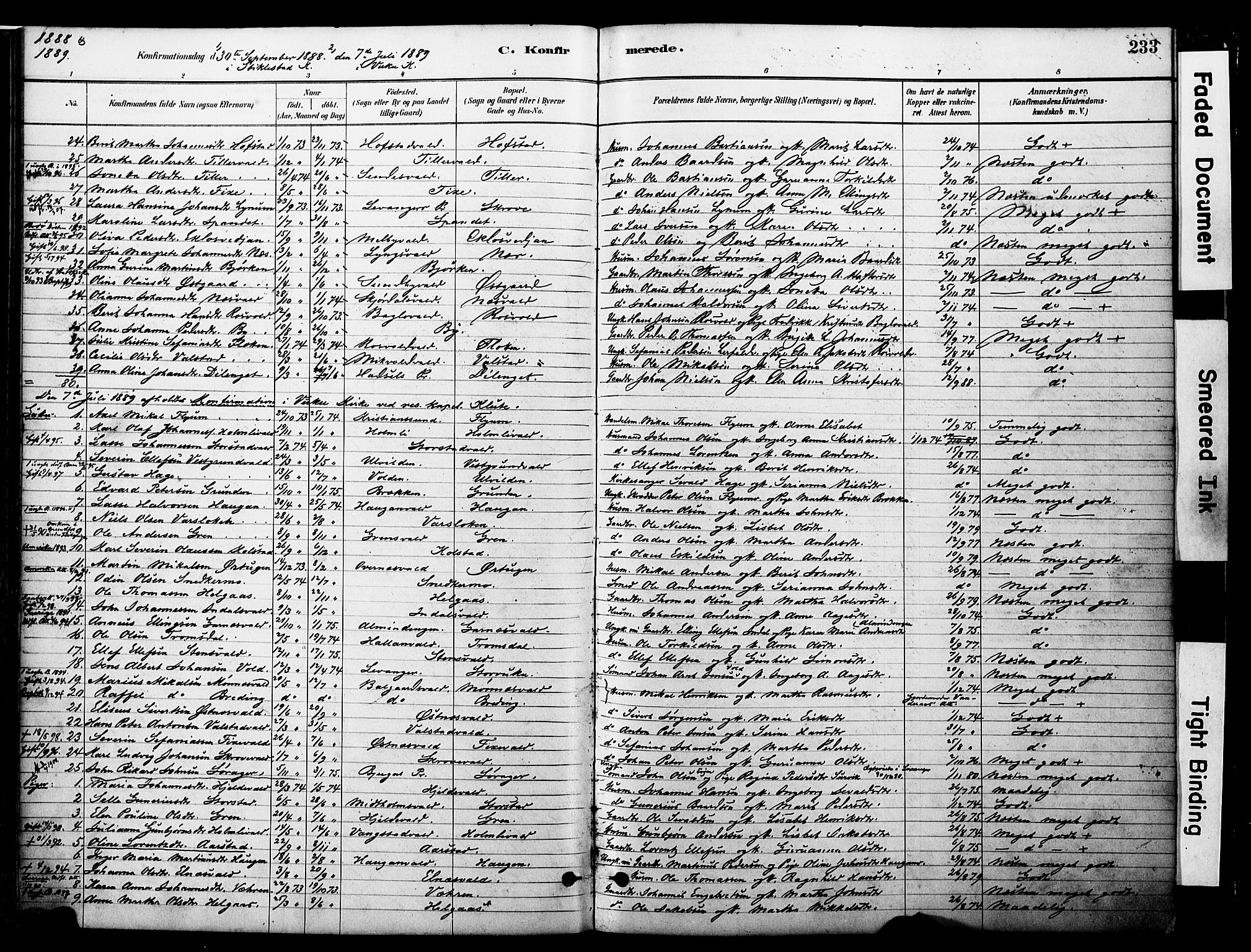Ministerialprotokoller, klokkerbøker og fødselsregistre - Nord-Trøndelag, SAT/A-1458/723/L0244: Parish register (official) no. 723A13, 1881-1899, p. 233