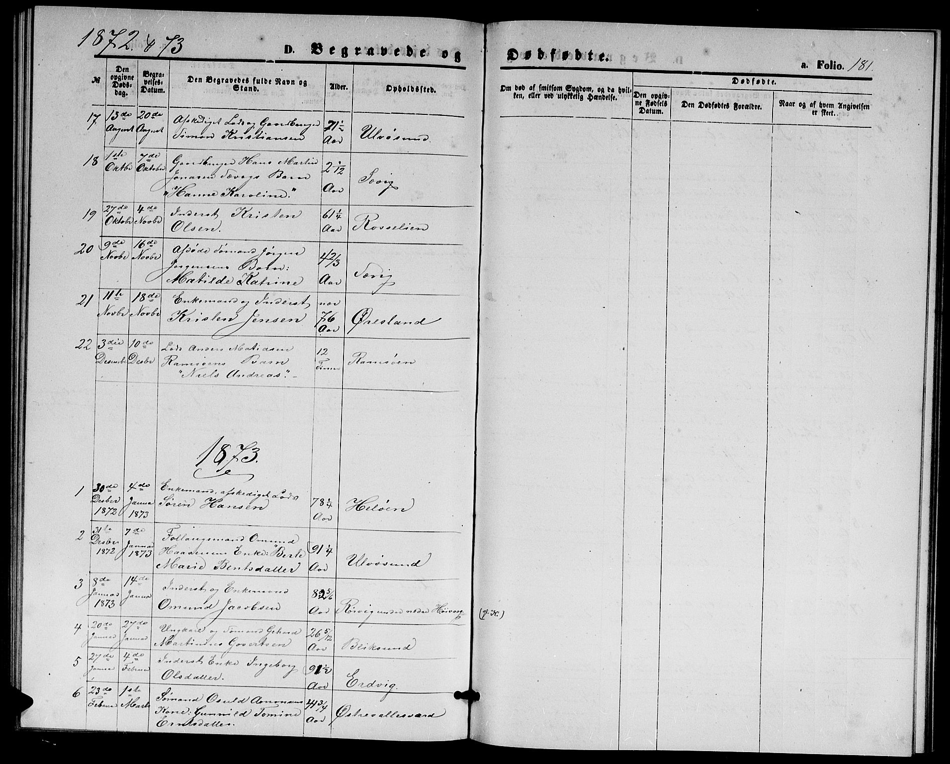 Høvåg sokneprestkontor, SAK/1111-0025/F/Fb/L0003: Parish register (copy) no. B 3, 1870-1882, p. 181