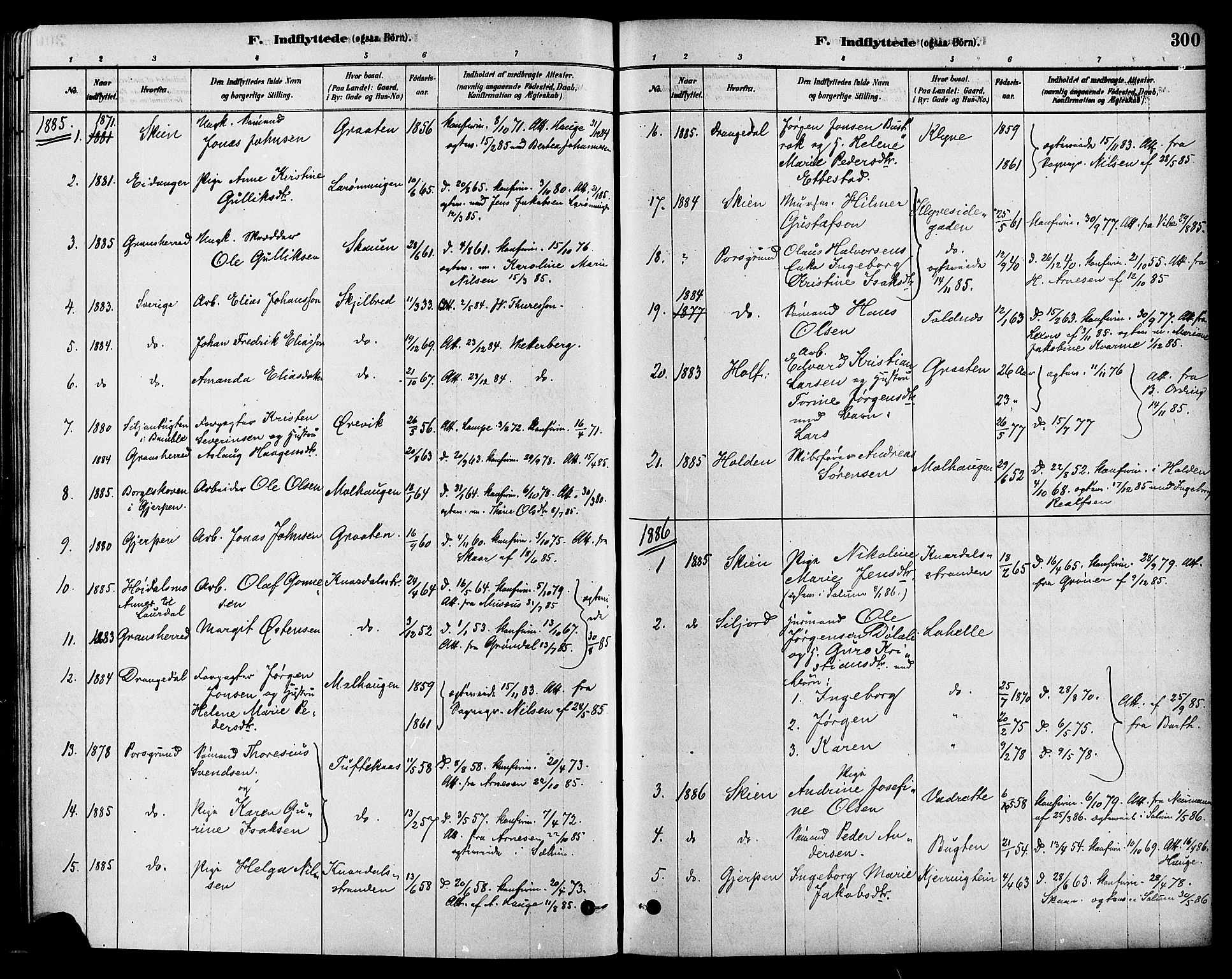Solum kirkebøker, SAKO/A-306/F/Fa/L0009: Parish register (official) no. I 9, 1877-1887, p. 300