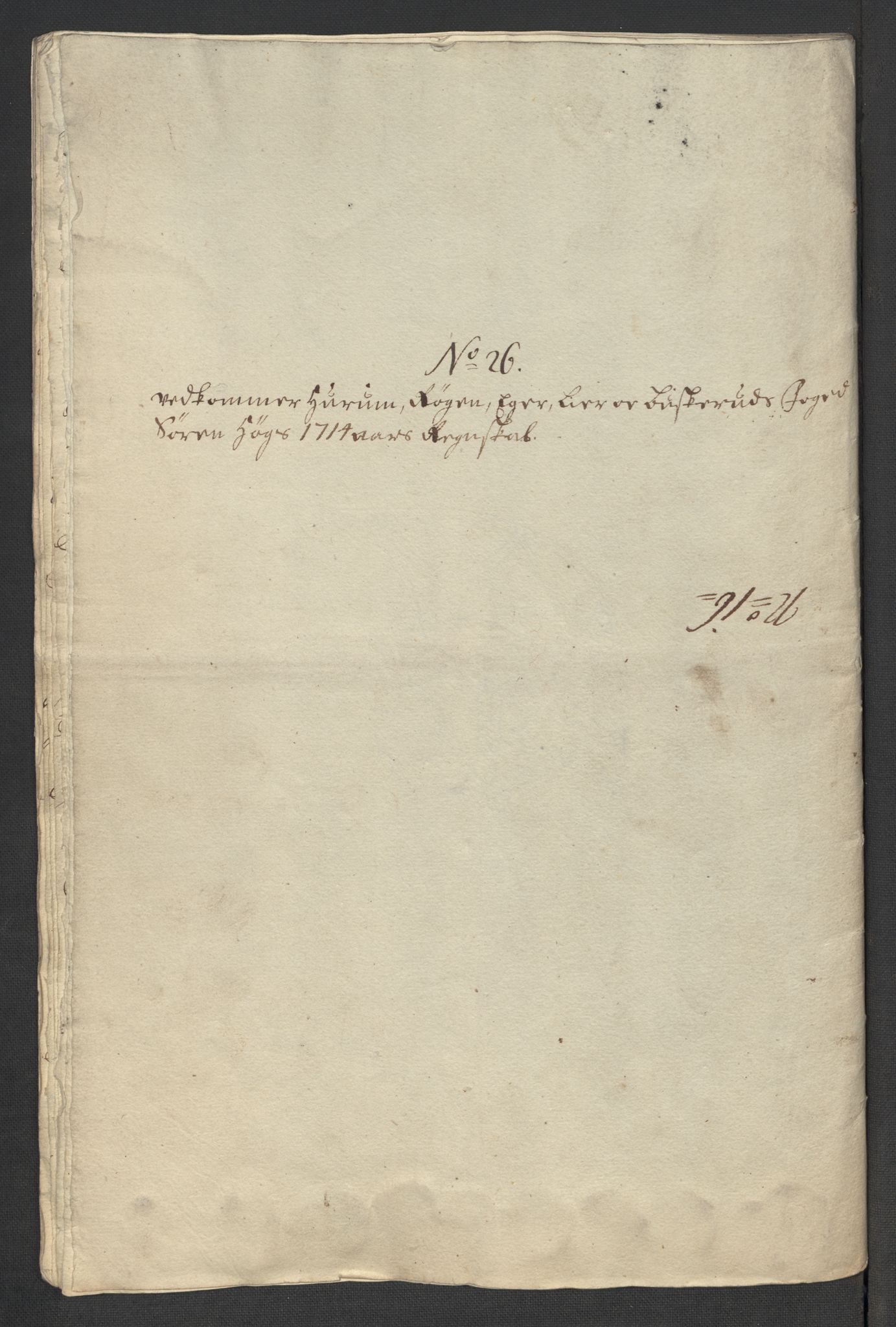 Rentekammeret inntil 1814, Reviderte regnskaper, Fogderegnskap, AV/RA-EA-4092/R31/L1709: Fogderegnskap Hurum, Røyken, Eiker, Lier og Buskerud, 1714, p. 141