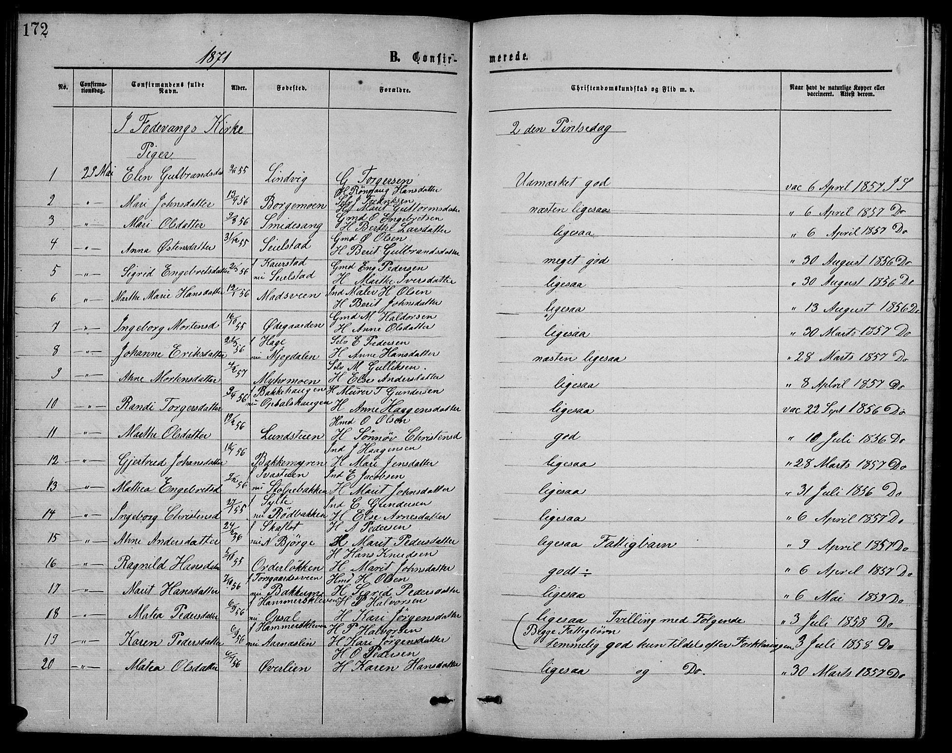 Ringebu prestekontor, SAH/PREST-082/H/Ha/Hab/L0004: Parish register (copy) no. 4, 1867-1879, p. 172