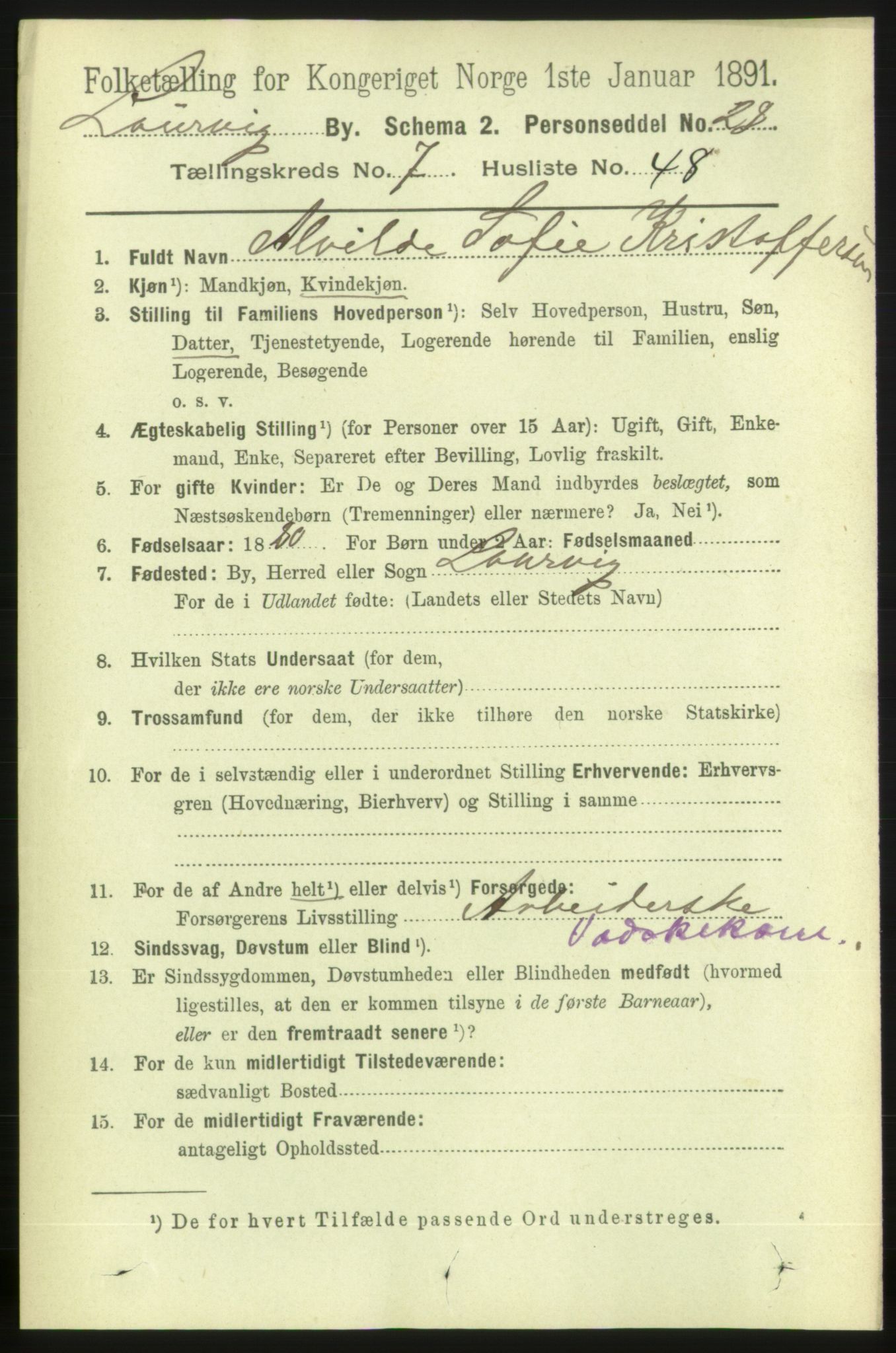 RA, 1891 census for 0707 Larvik, 1891, p. 7803