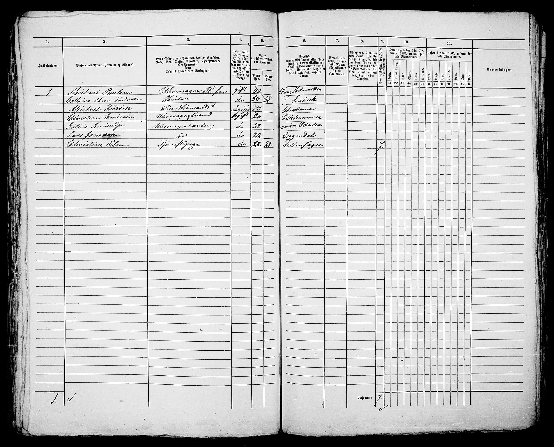 RA, 1865 census for Kristiania, 1865, p. 489