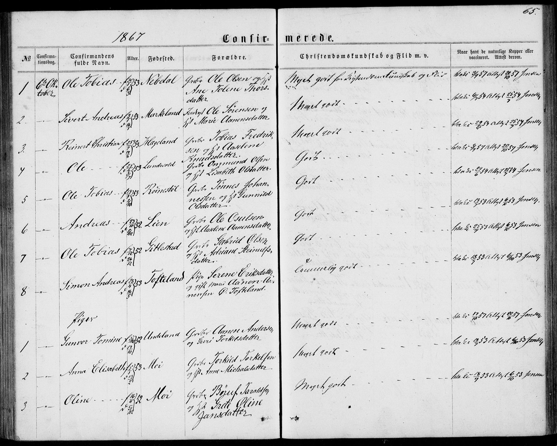 Lyngdal sokneprestkontor, SAK/1111-0029/F/Fa/Fab/L0002: Parish register (official) no. A 2, 1861-1878, p. 65
