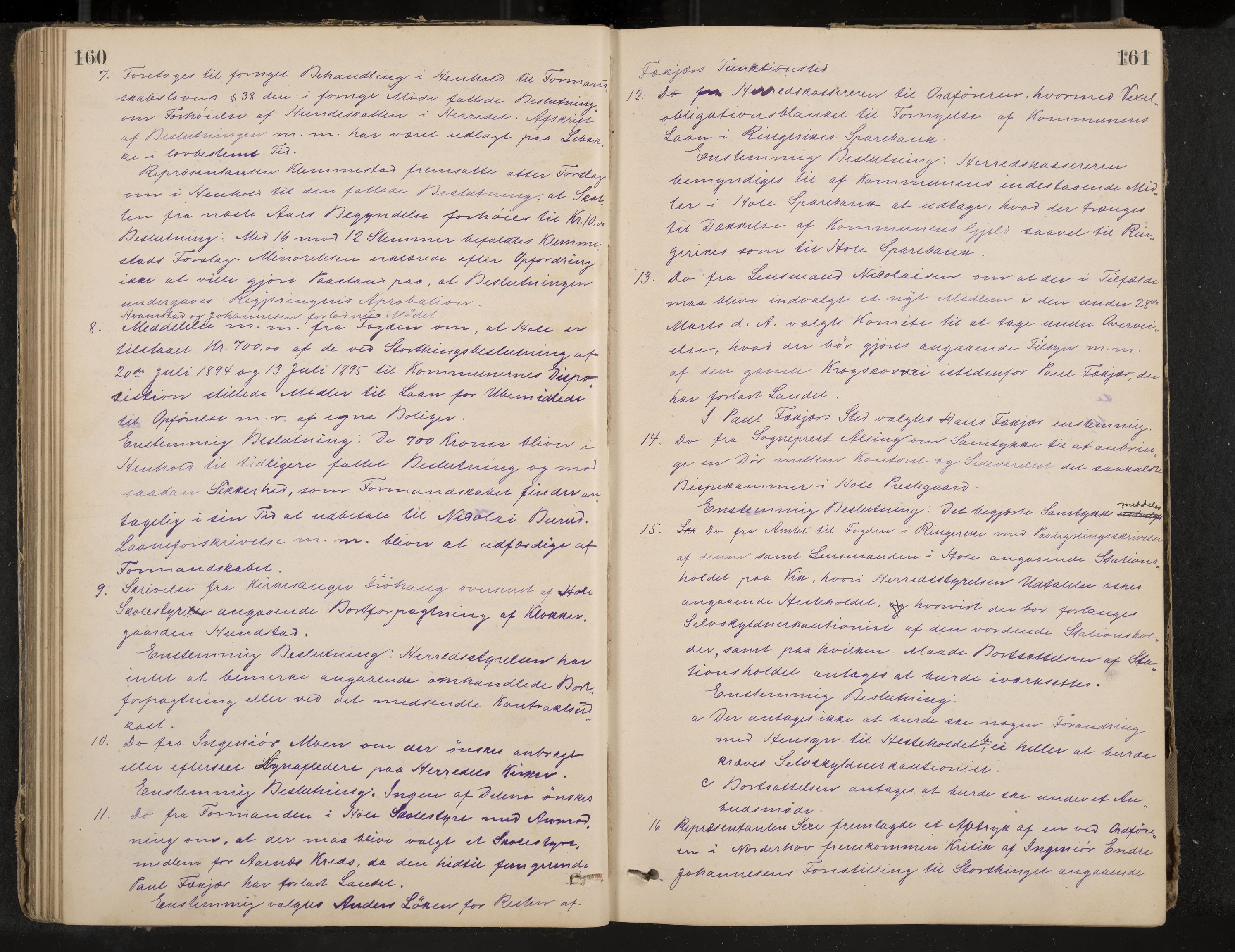 Hole formannskap og sentraladministrasjon, IKAK/0612021-1/A/Aa/L0003: Møtebok med register, 1892-1902, p. 160-161