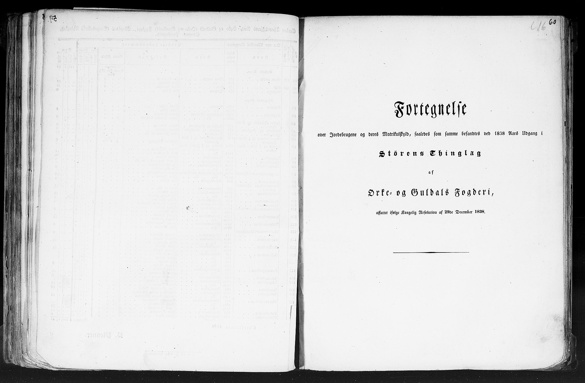 Rygh, AV/RA-PA-0034/F/Fb/L0014: Matrikkelen for 1838 - Søndre Trondhjems amt (Sør-Trøndelag fylke), 1838, p. 60a