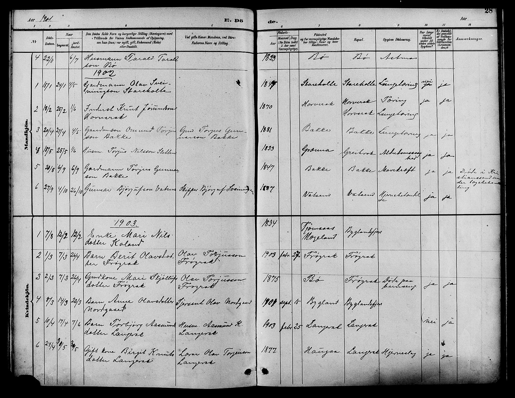 Bygland sokneprestkontor, AV/SAK-1111-0006/F/Fb/Fbd/L0002: Parish register (copy) no. B 2, 1894-1909, p. 28