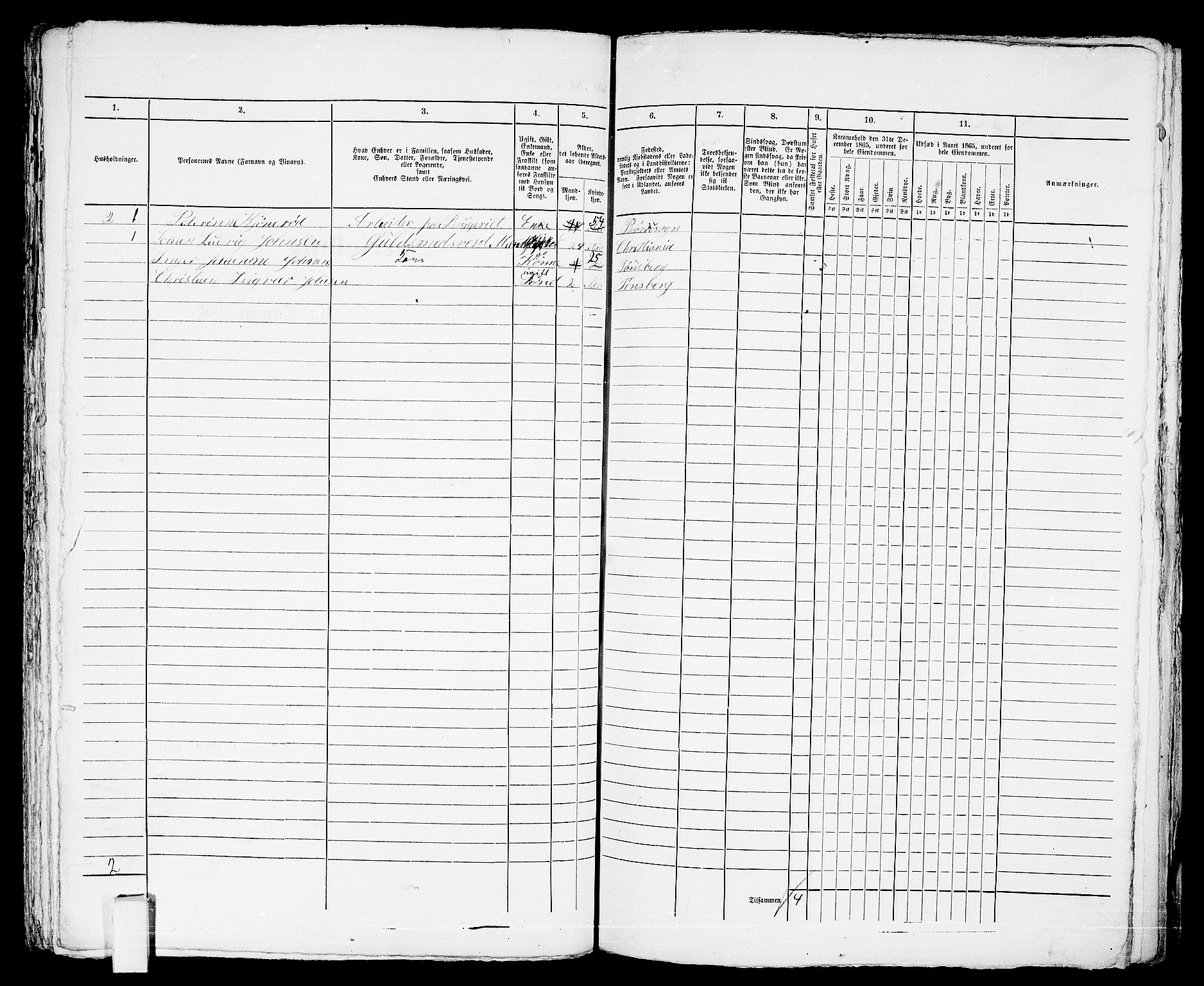 RA, 1865 census for Tønsberg, 1865, p. 519