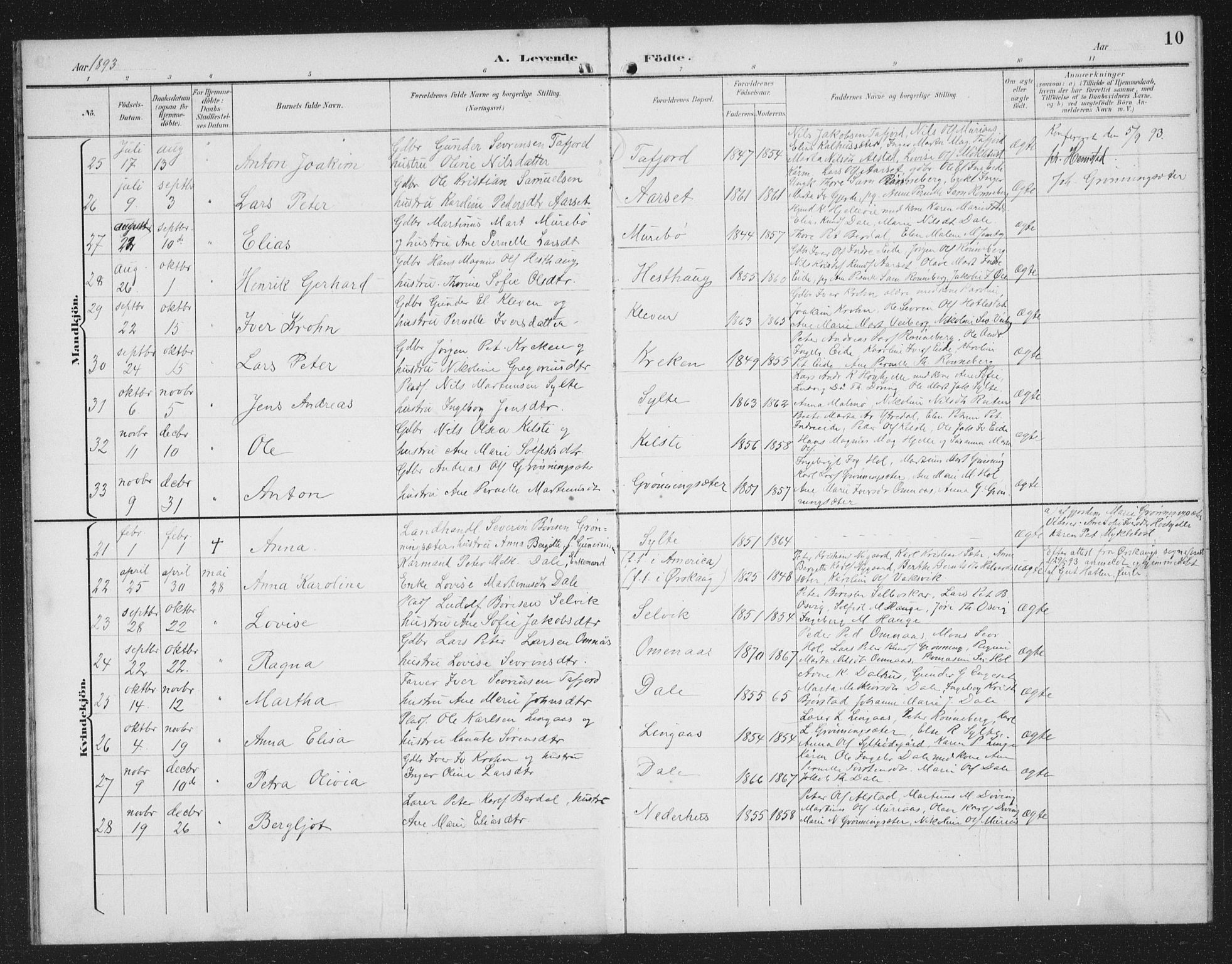 Ministerialprotokoller, klokkerbøker og fødselsregistre - Møre og Romsdal, SAT/A-1454/519/L0264: Parish register (copy) no. 519C05, 1892-1910, p. 10