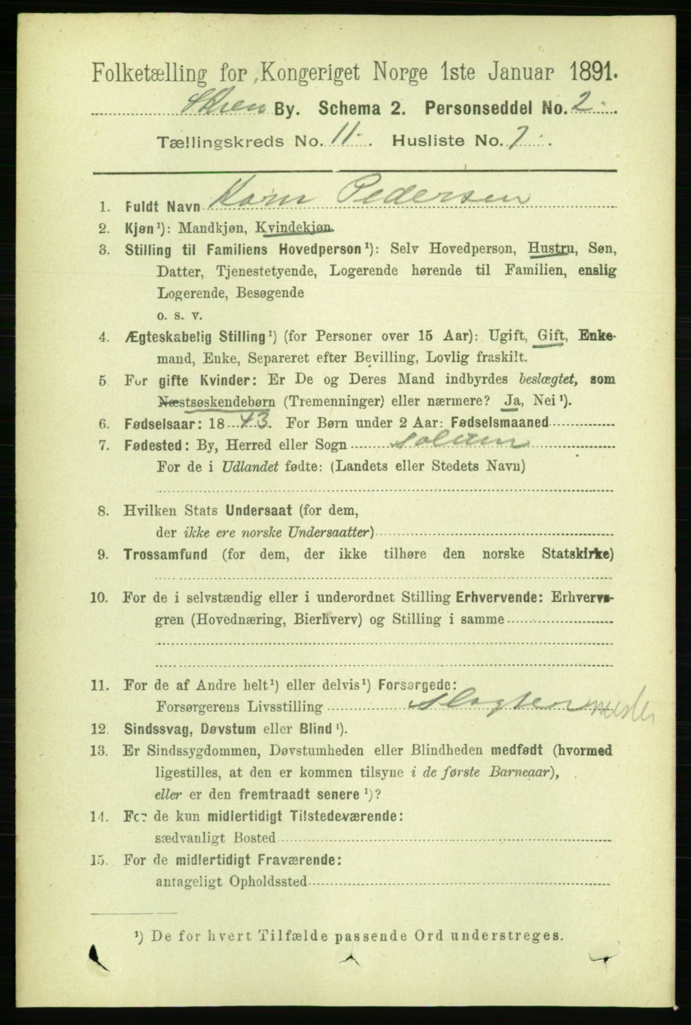 RA, 1891 census for 0806 Skien, 1891, p. 3946