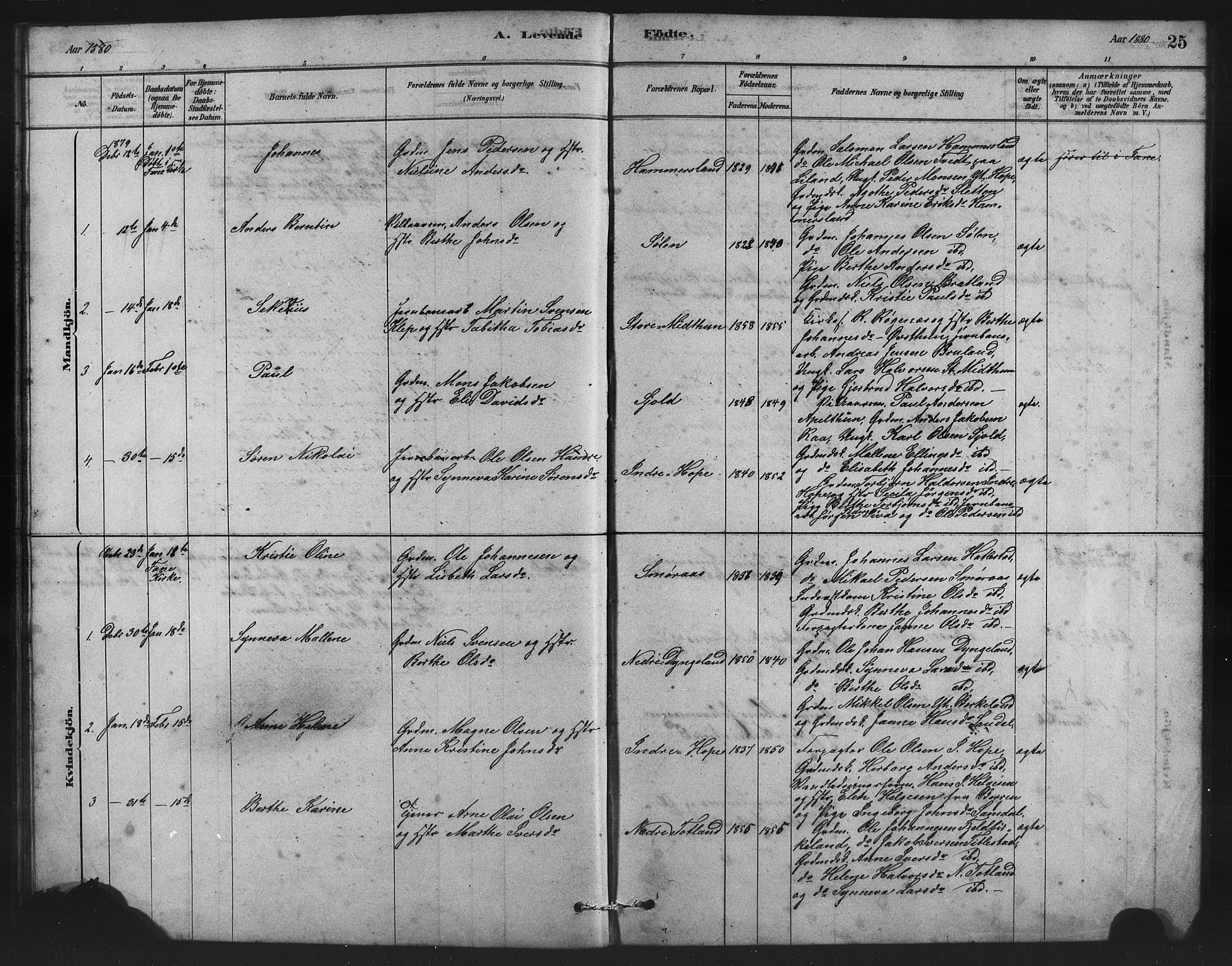 Birkeland Sokneprestembete, SAB/A-74601/H/Hab: Parish register (copy) no. A 3, 1877-1887, p. 25