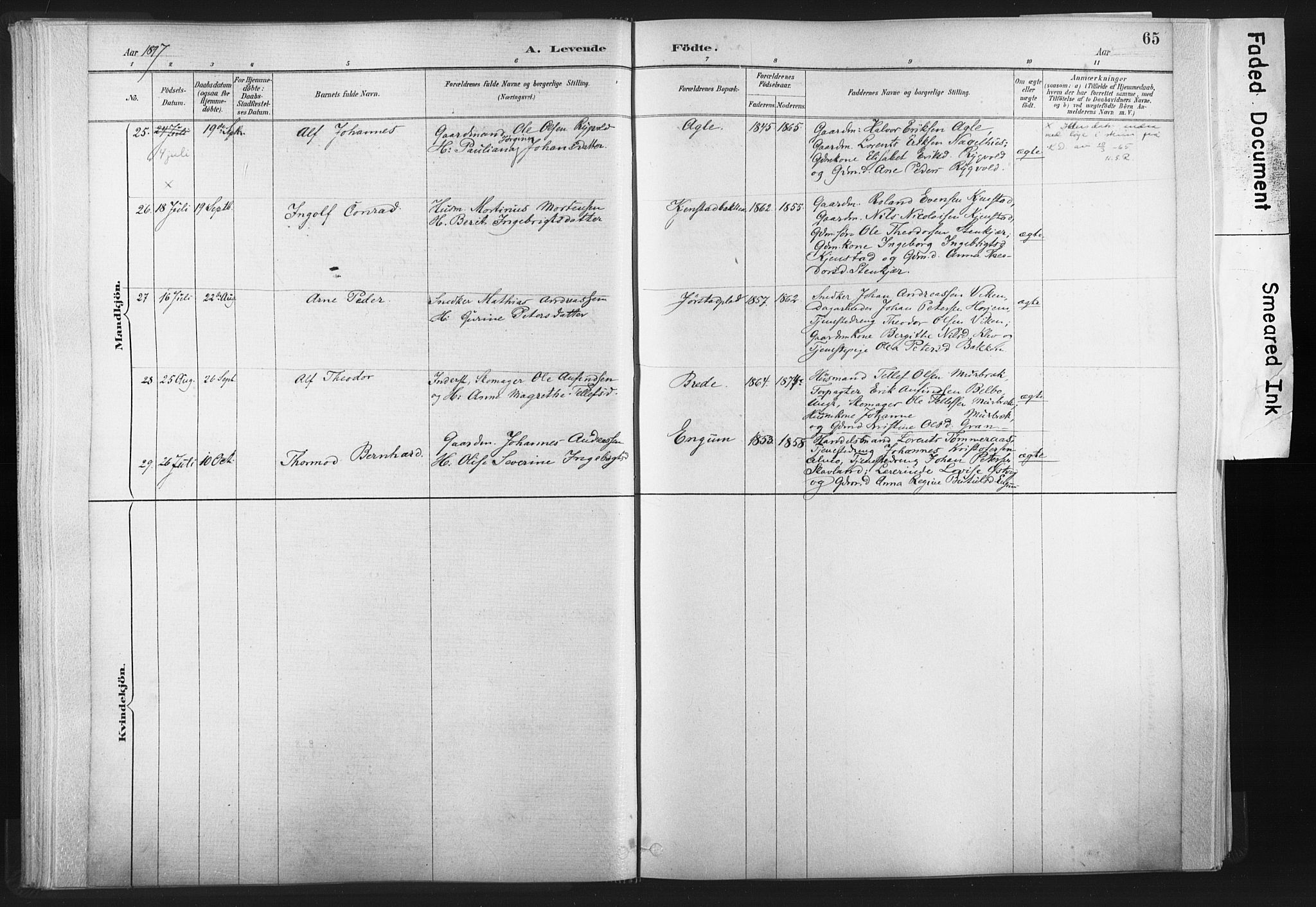 Ministerialprotokoller, klokkerbøker og fødselsregistre - Nord-Trøndelag, AV/SAT-A-1458/749/L0474: Parish register (official) no. 749A08, 1887-1903, p. 65