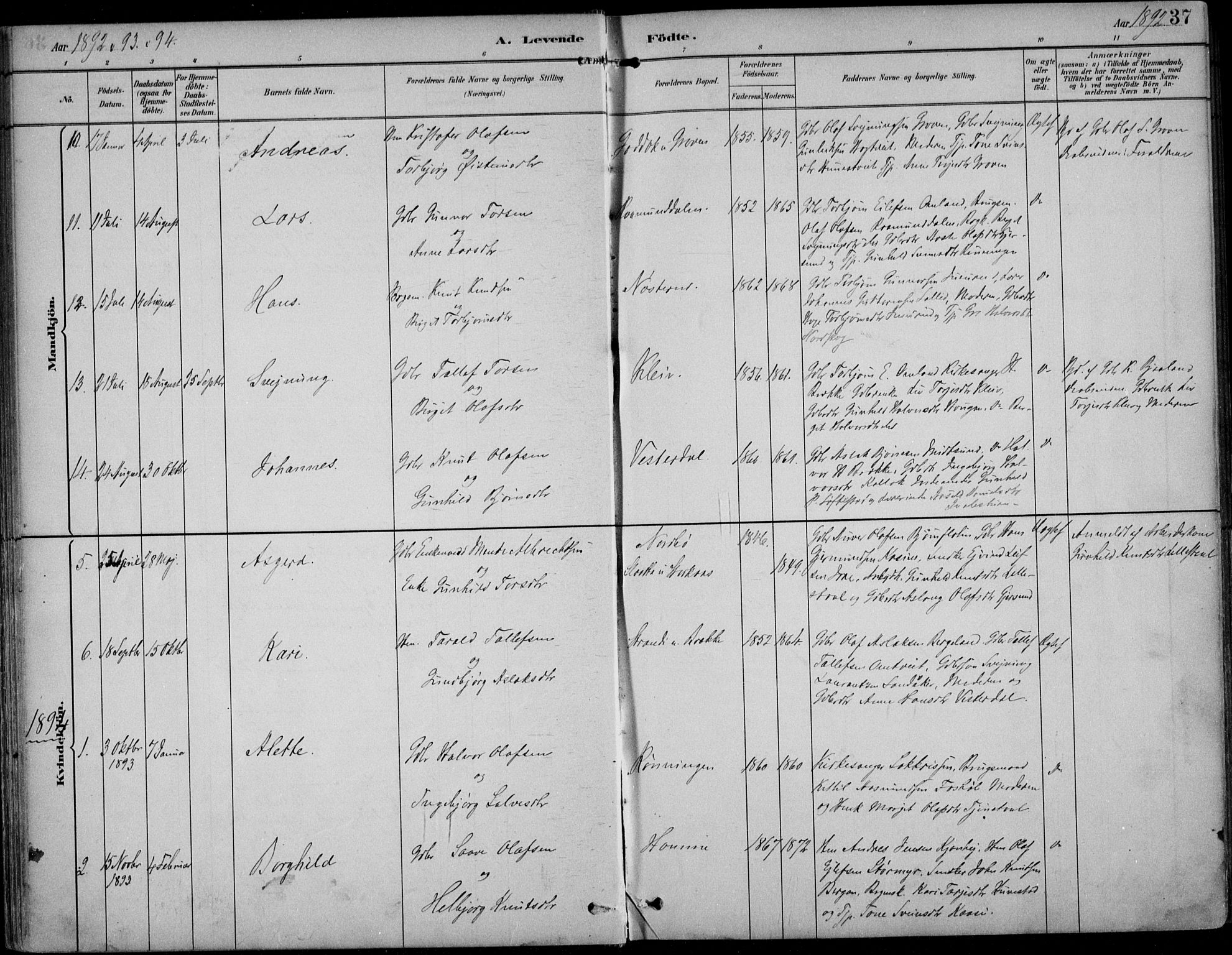 Kviteseid kirkebøker, AV/SAKO-A-276/F/Fb/L0002: Parish register (official) no. II 2, 1882-1916, p. 37