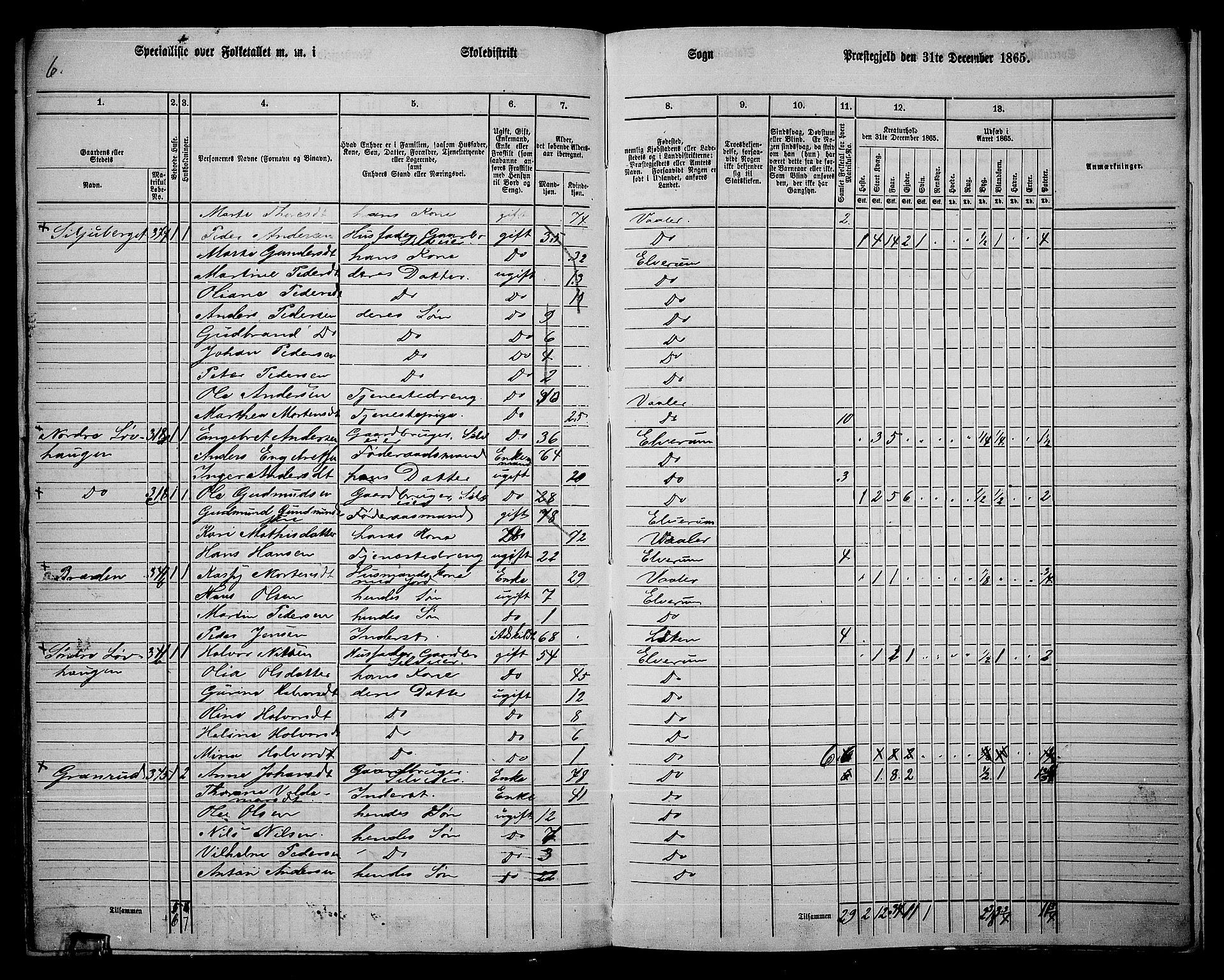 RA, 1865 census for Elverum, 1865, p. 261