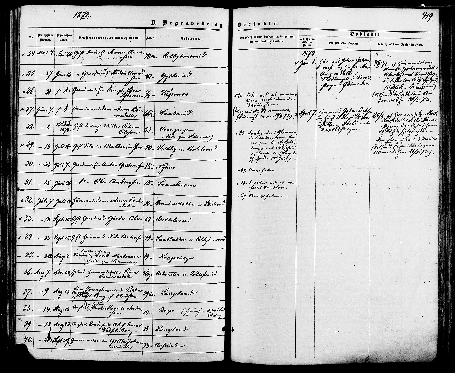 Vinger prestekontor, SAH/PREST-024/H/Ha/Haa/L0012: Parish register (official) no. 12, 1871-1880, p. 419